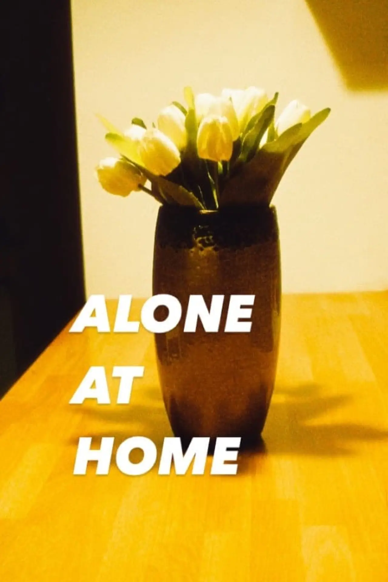 Постер к фильму "Alone at Home"