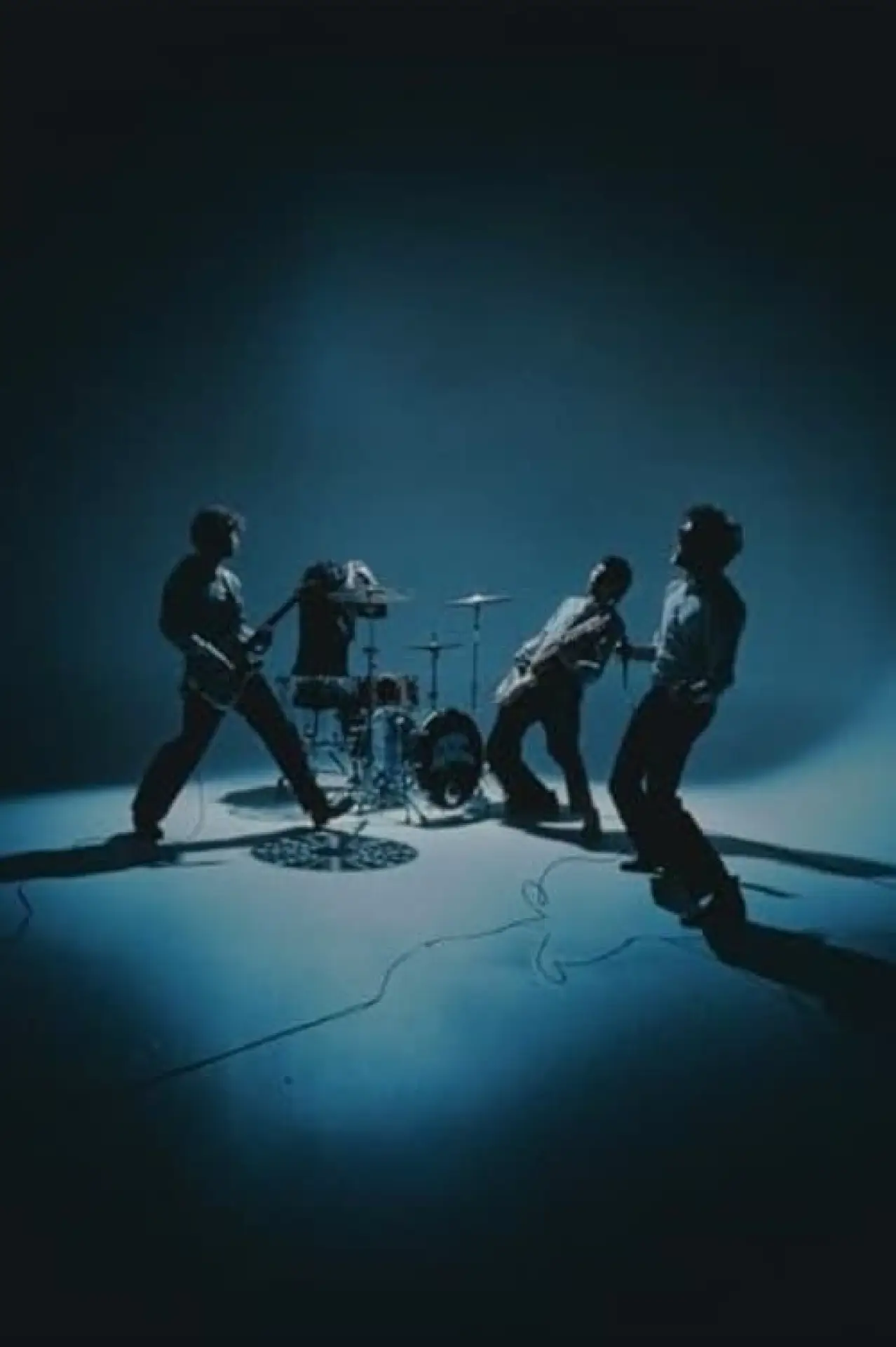 Постер к фильму "Portraits of a New York City Rock Band"