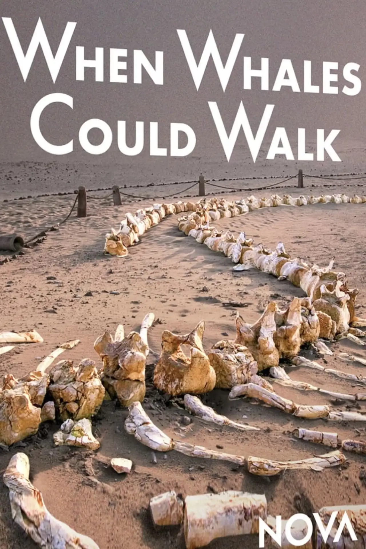 Постер к фильму "When Whales Could Walk"