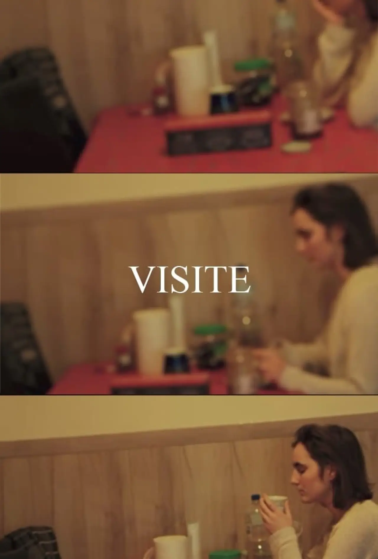Постер к фильму "VISIT"