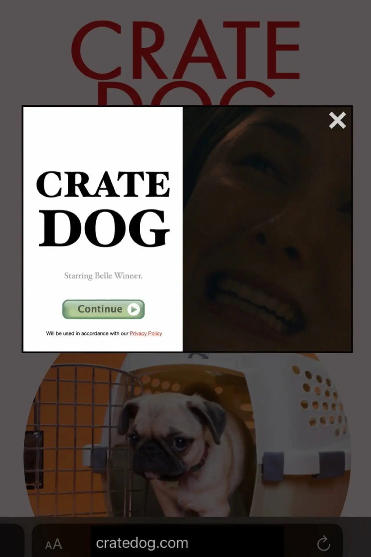 Постер к фильму "Crate Dog"