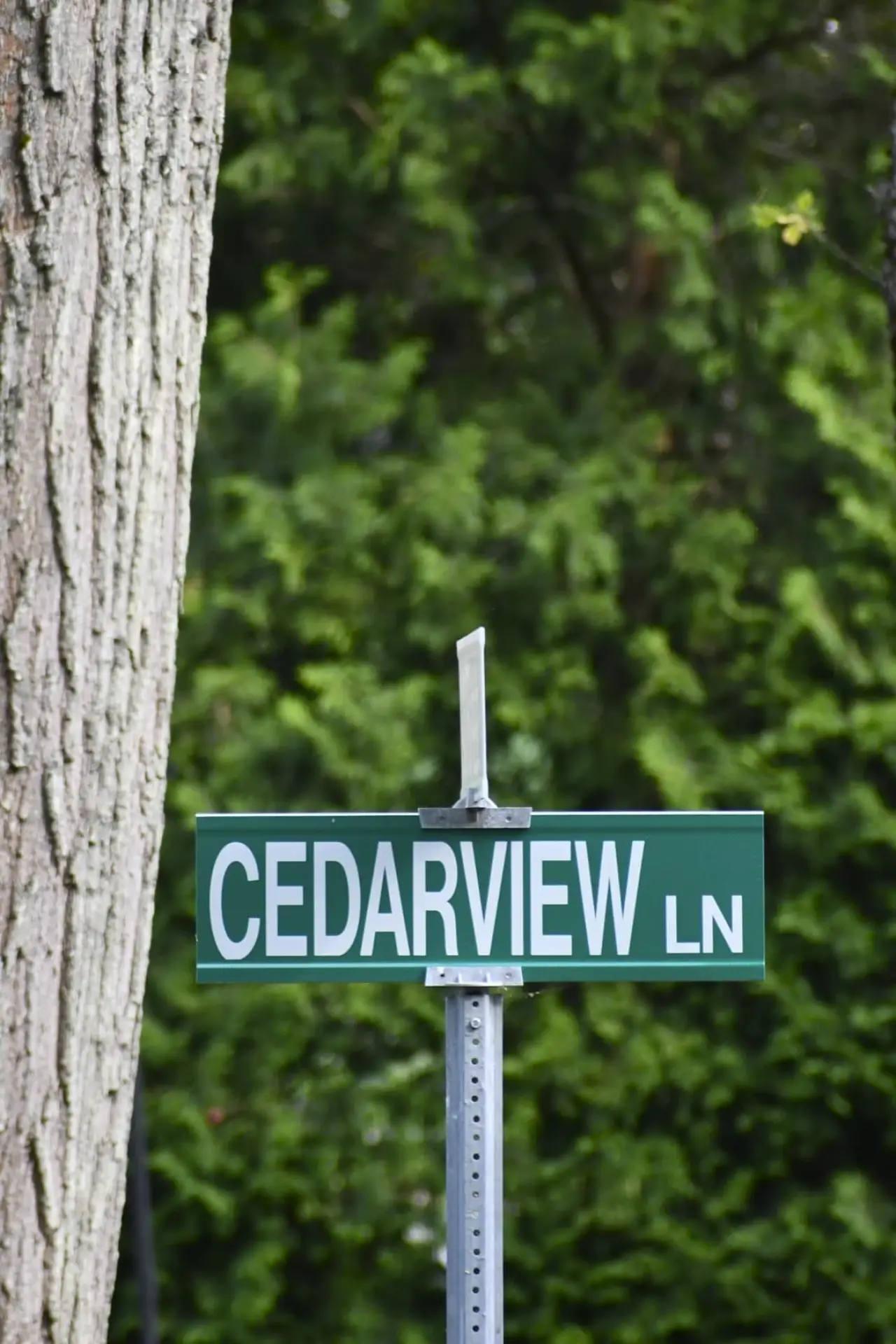Постер к фильму "Cedarview"