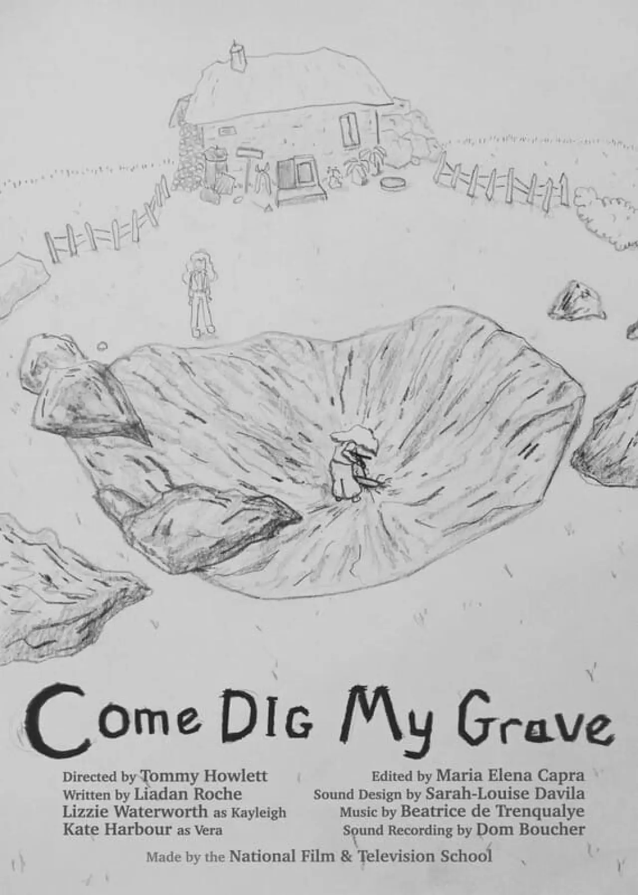 Постер к фильму "Come Dig My Grave"