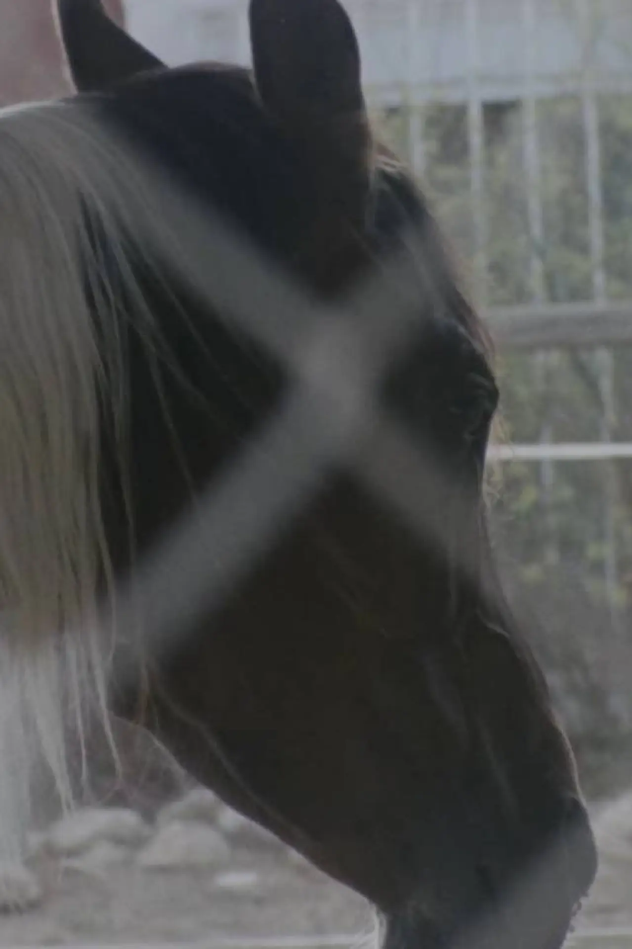 Постер к фильму "Horse Girl"