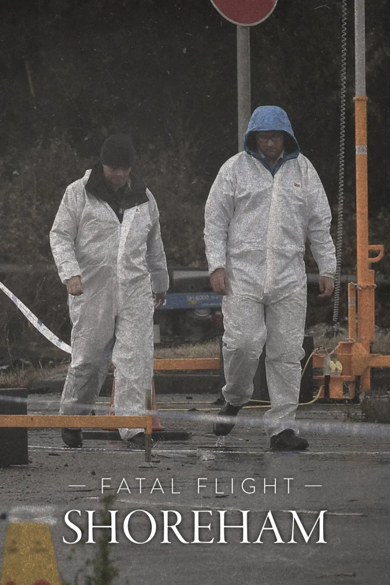Постер к фильму "Fatal Flight: Shoreham"