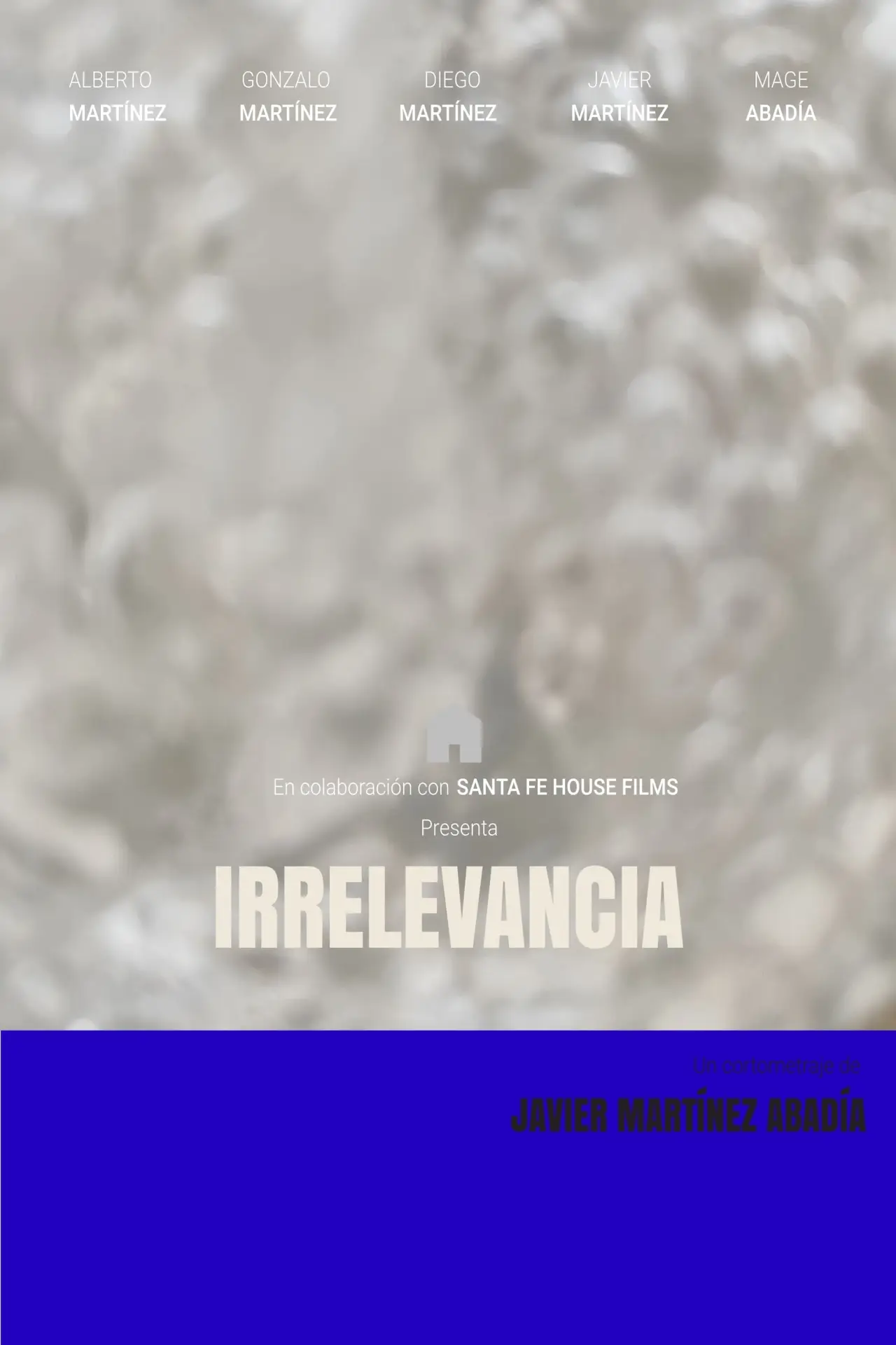 Постер к фильму "Irrelevancia"
