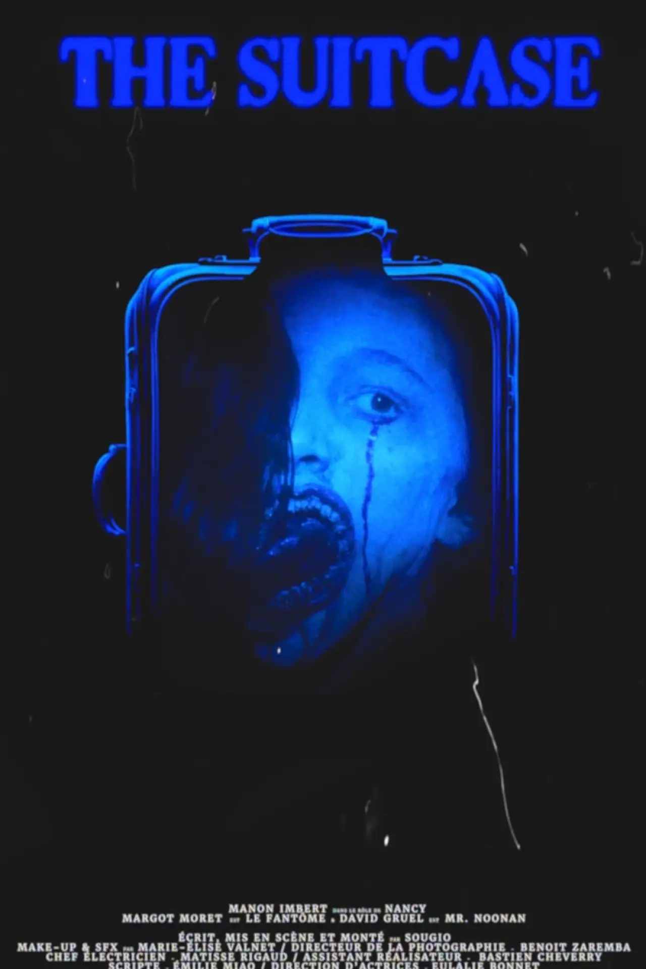 Постер к фильму "The Suitcase"