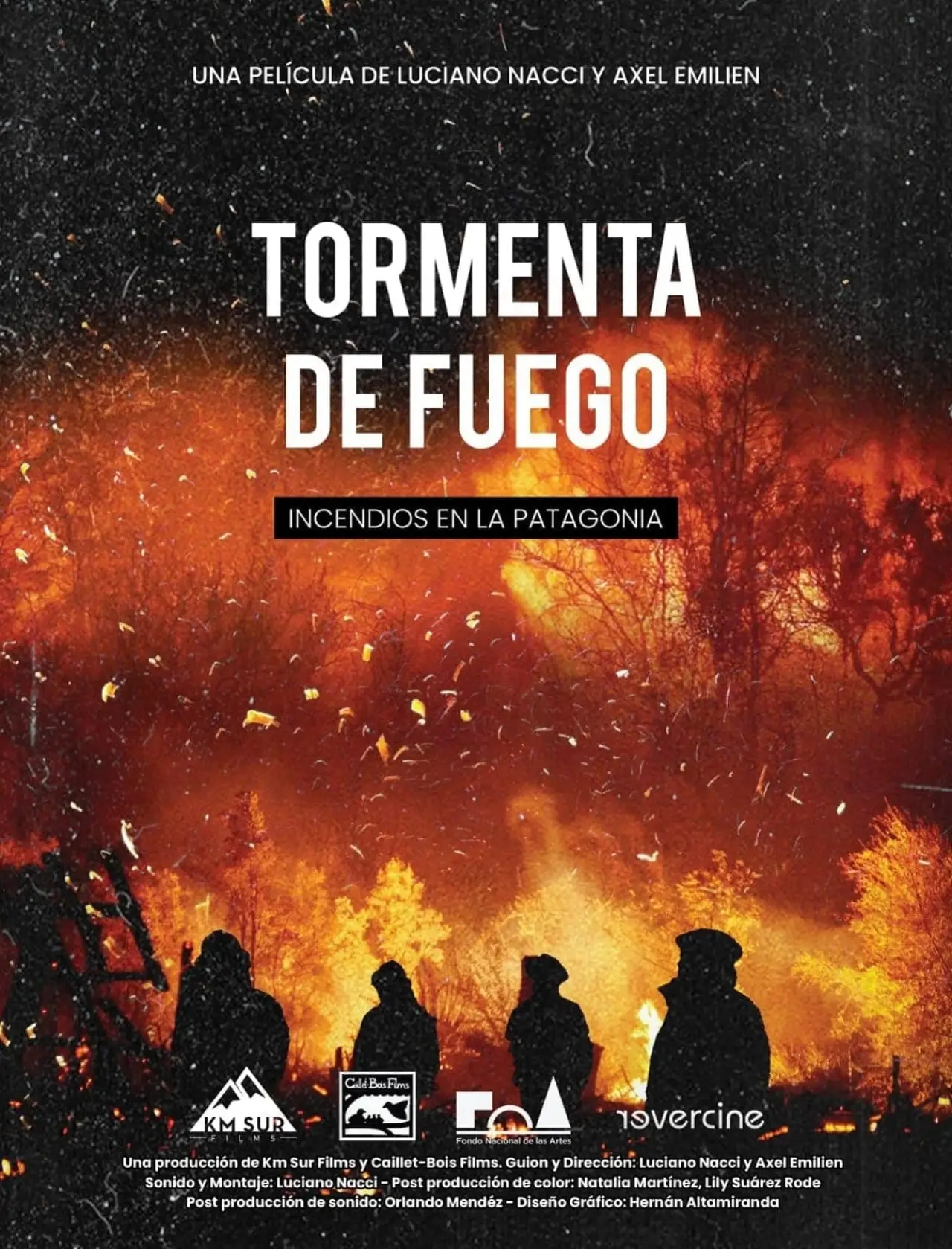 Постер к фильму "Tormenta de fuego: Incendios en la Patagonia"