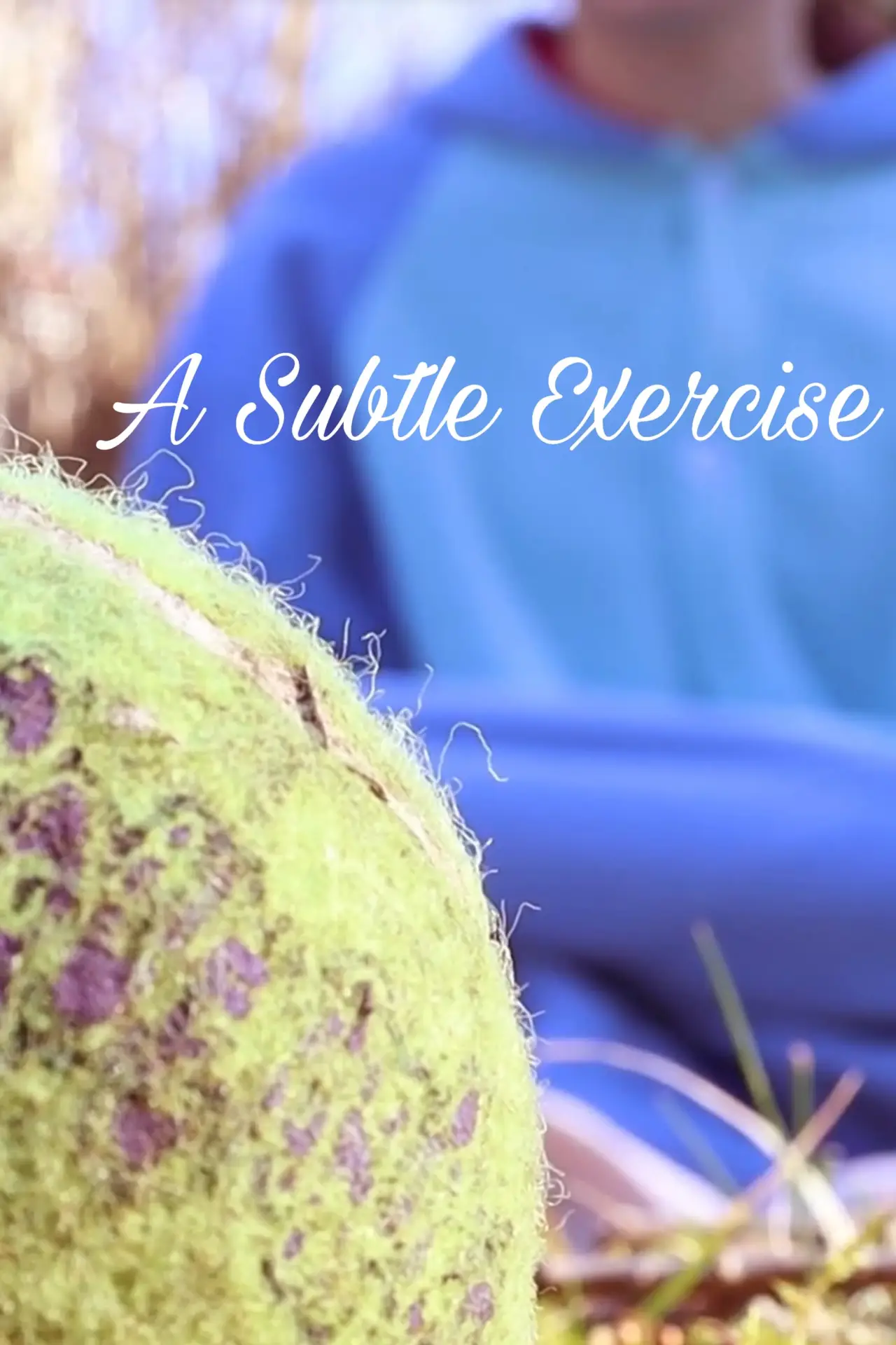 Постер к фильму "A Subtle Exercise"