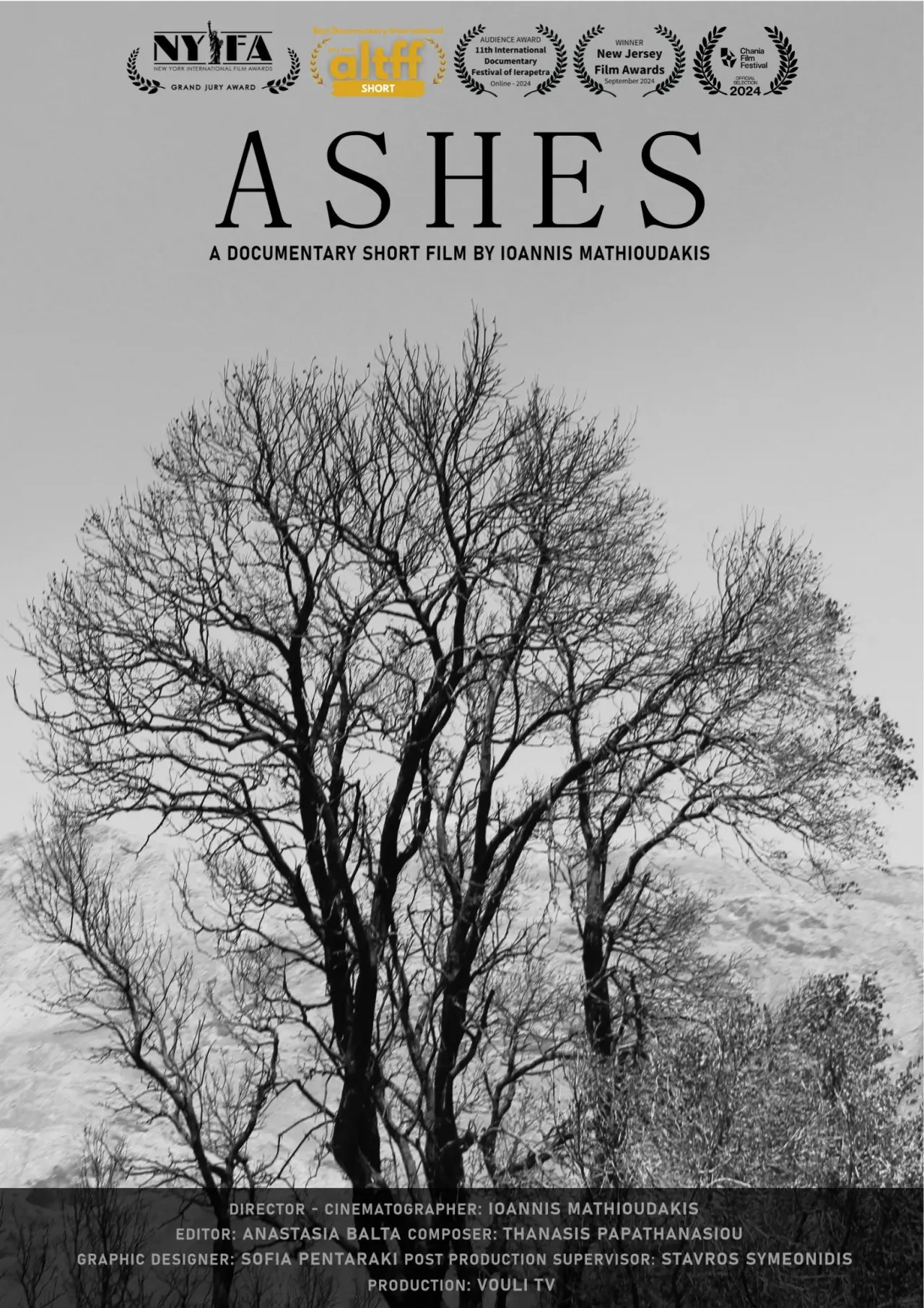 Постер к фильму "Ashes"