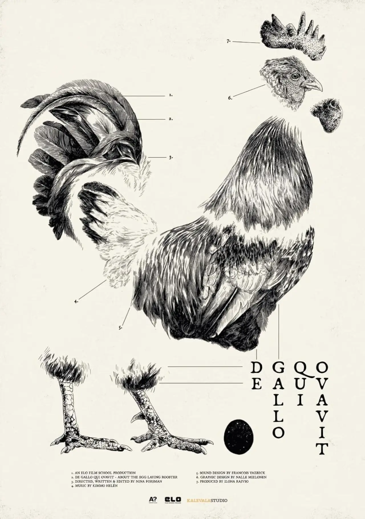 Постер к фильму "De Gallo Qui Ovavit"