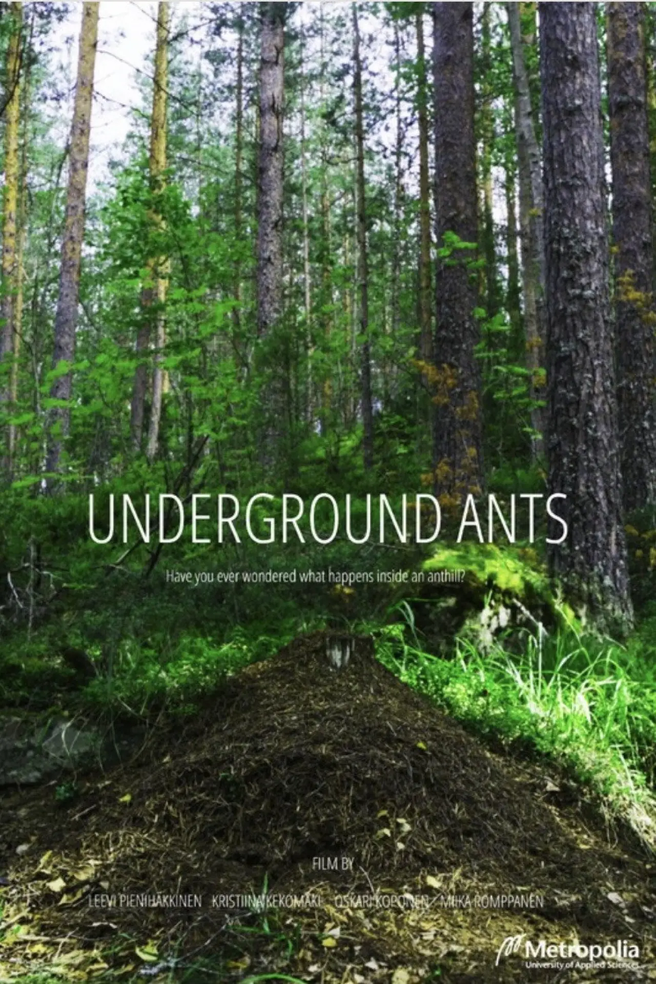 Постер к фильму "Underground Ants"