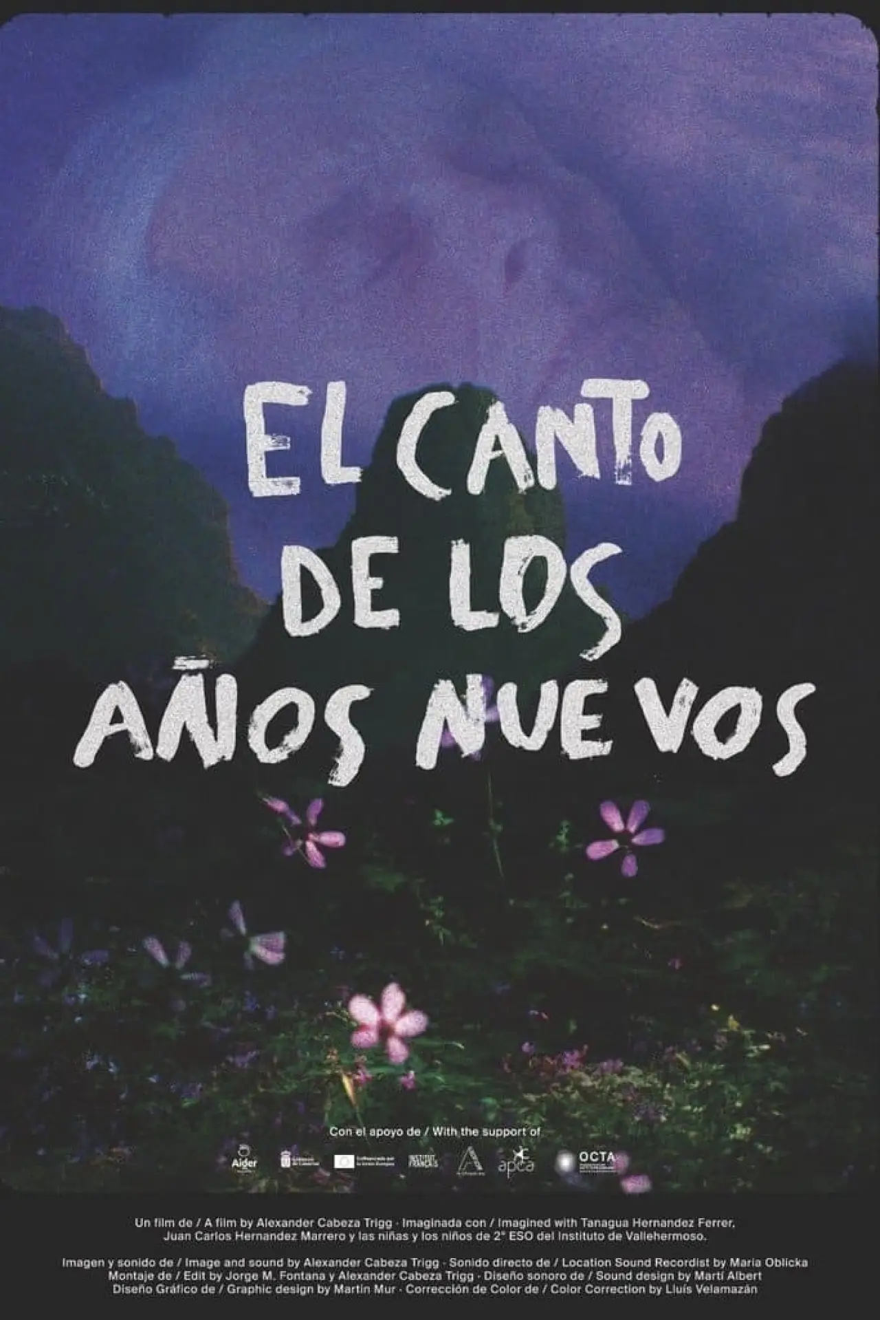 Постер к фильму "El Canto de los Años Nuevos"