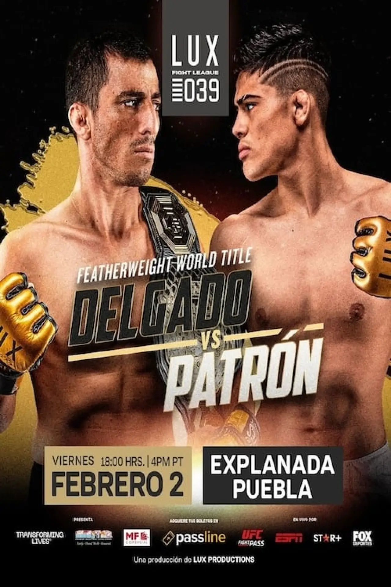 Постер к фильму "LUX Fight League 039"