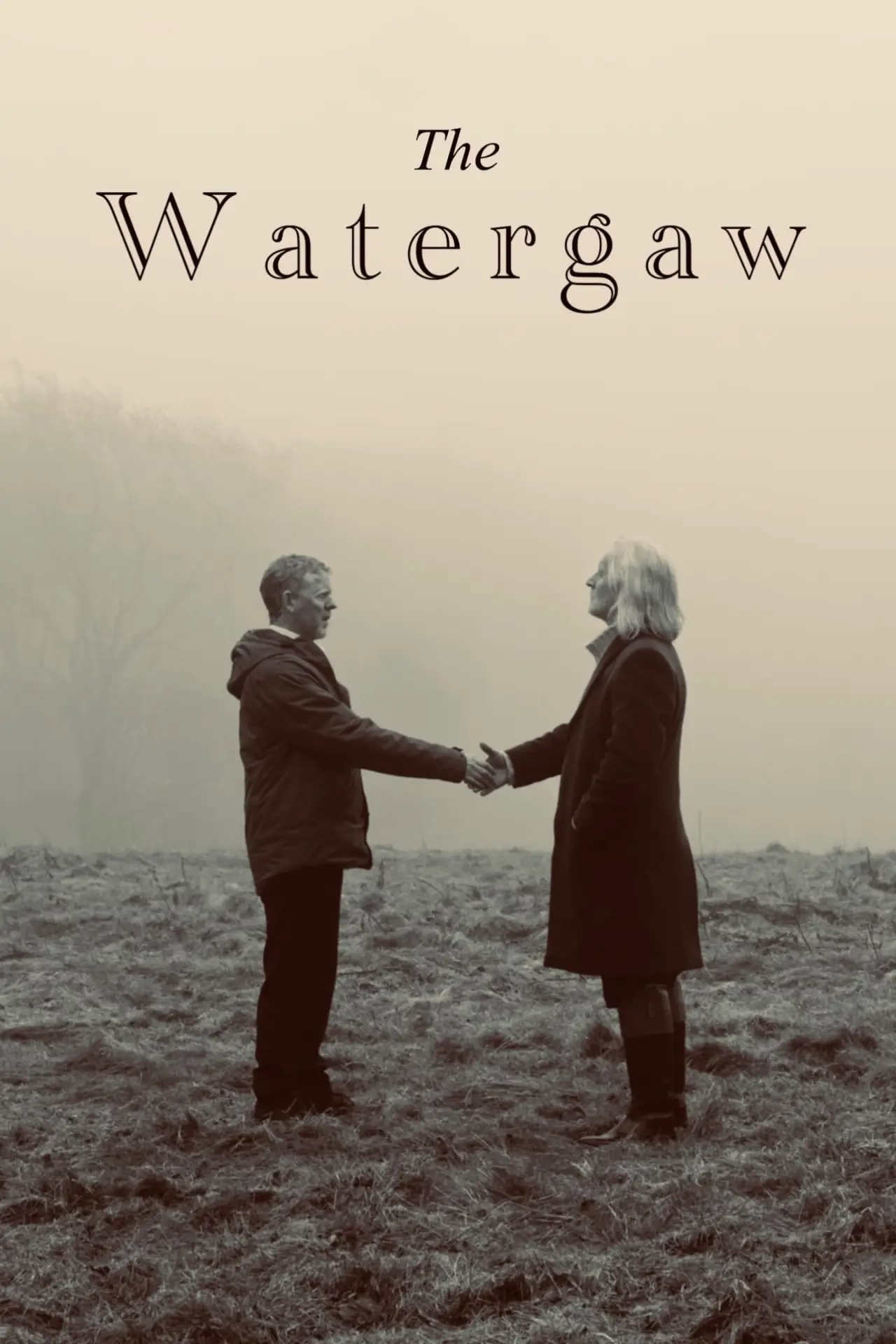 Постер к фильму "The Watergaw"
