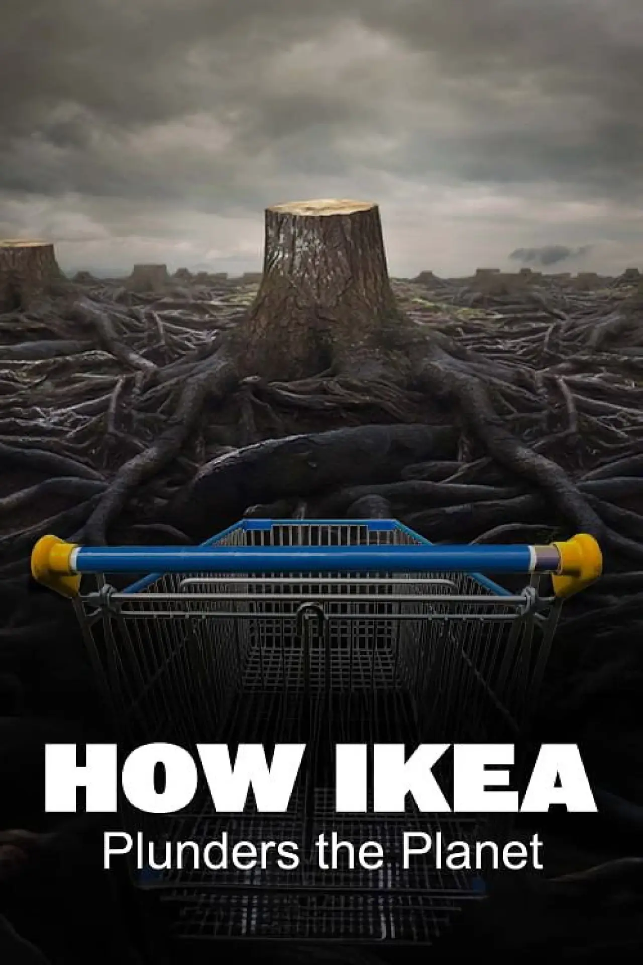 Постер к фильму "Ikea, повелитель лесов"