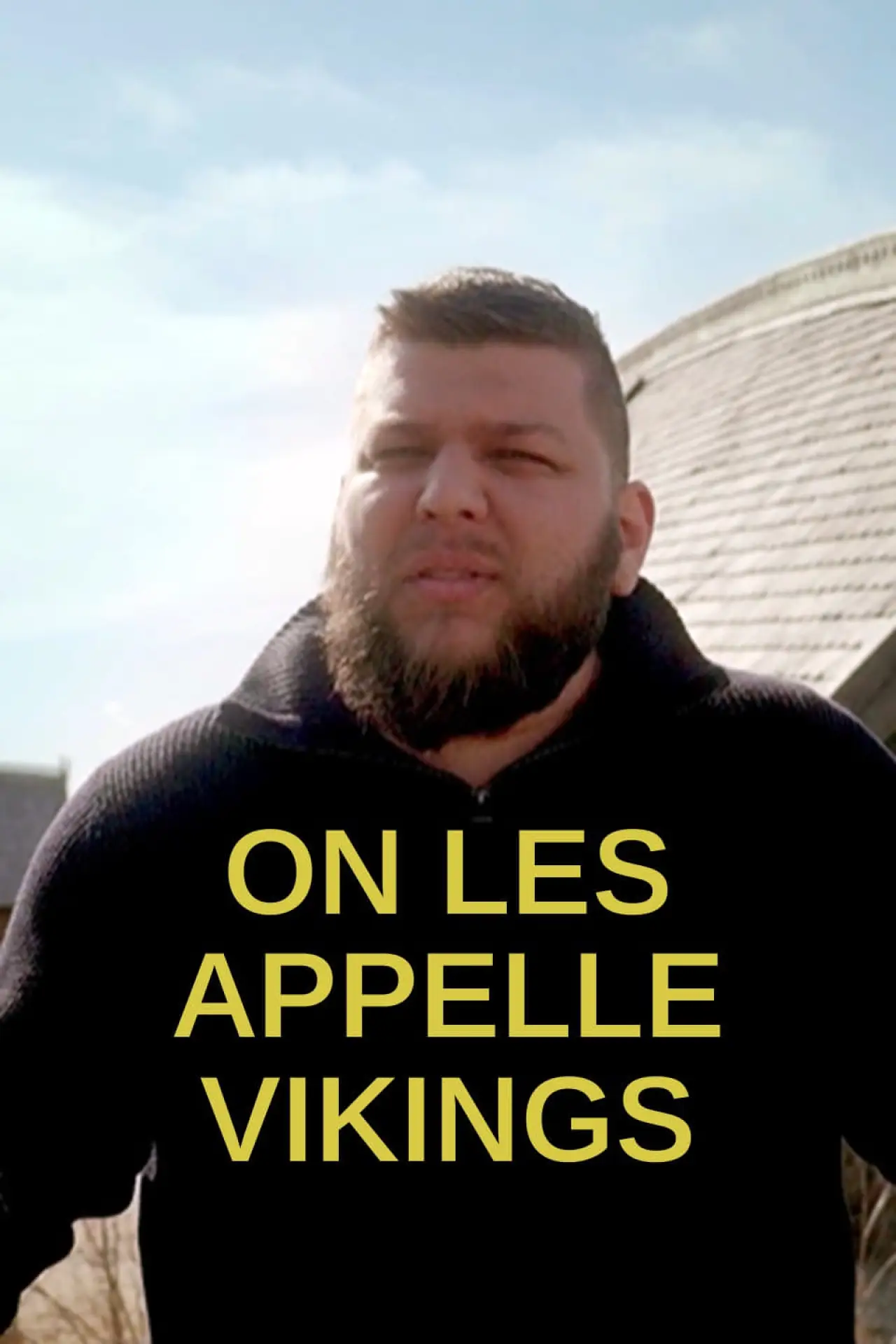 Постер к фильму "On les appelle vikings"