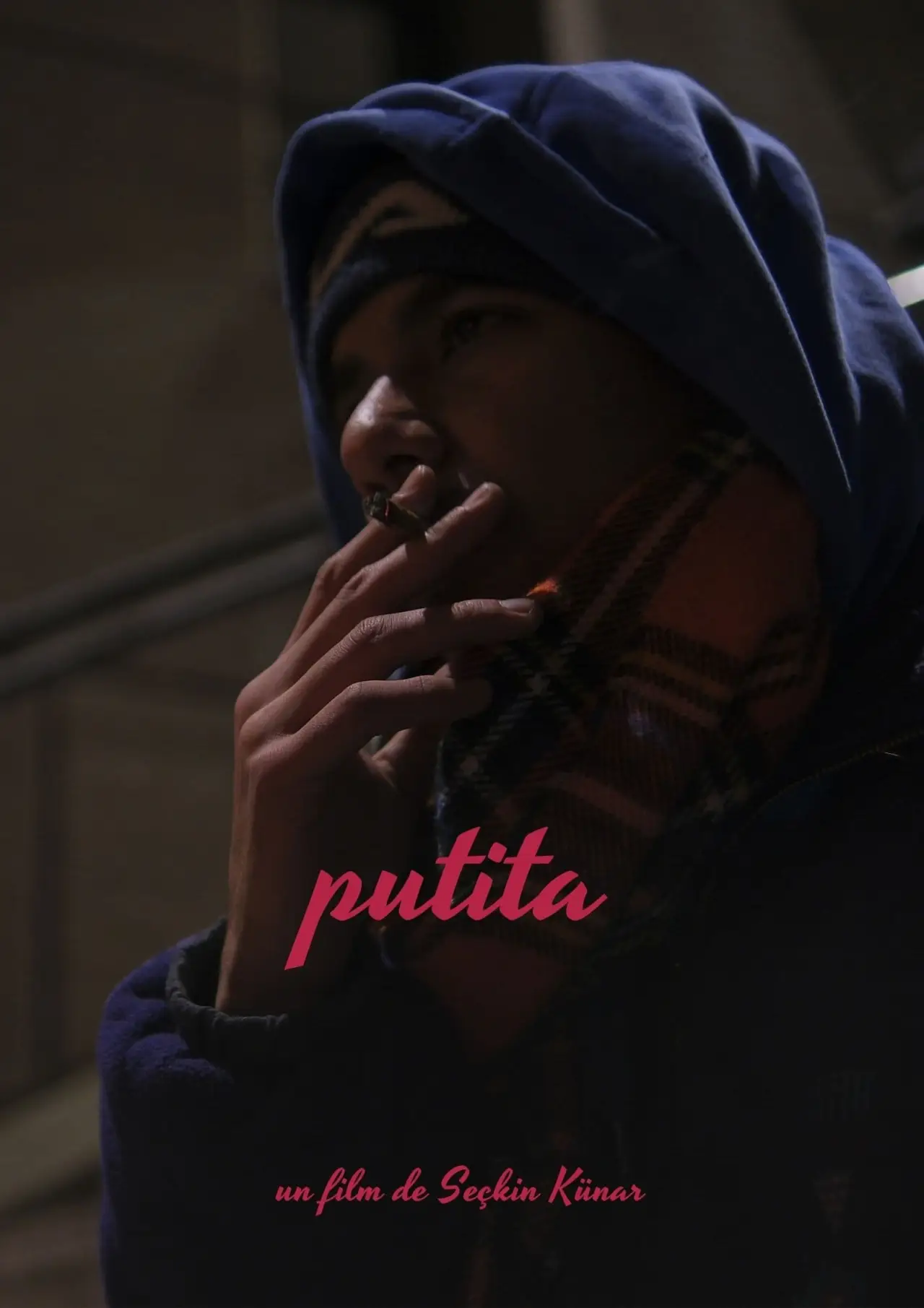 Постер к фильму "putita"
