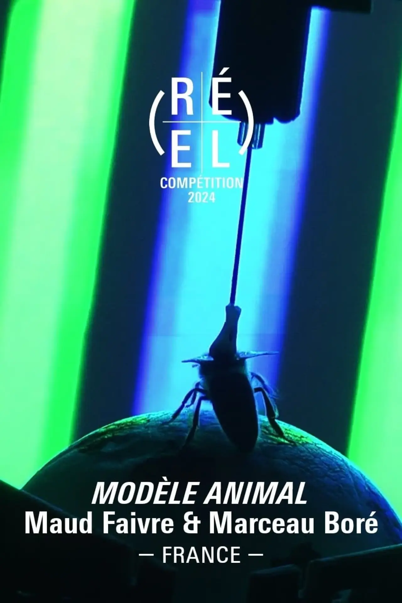 Постер к фильму "Modèle Animal"