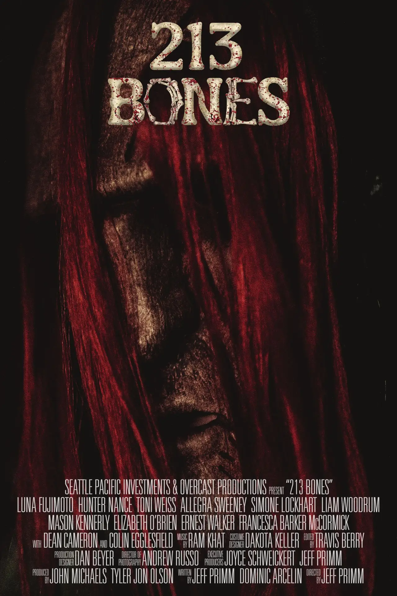Постер к фильму "213 Bones"