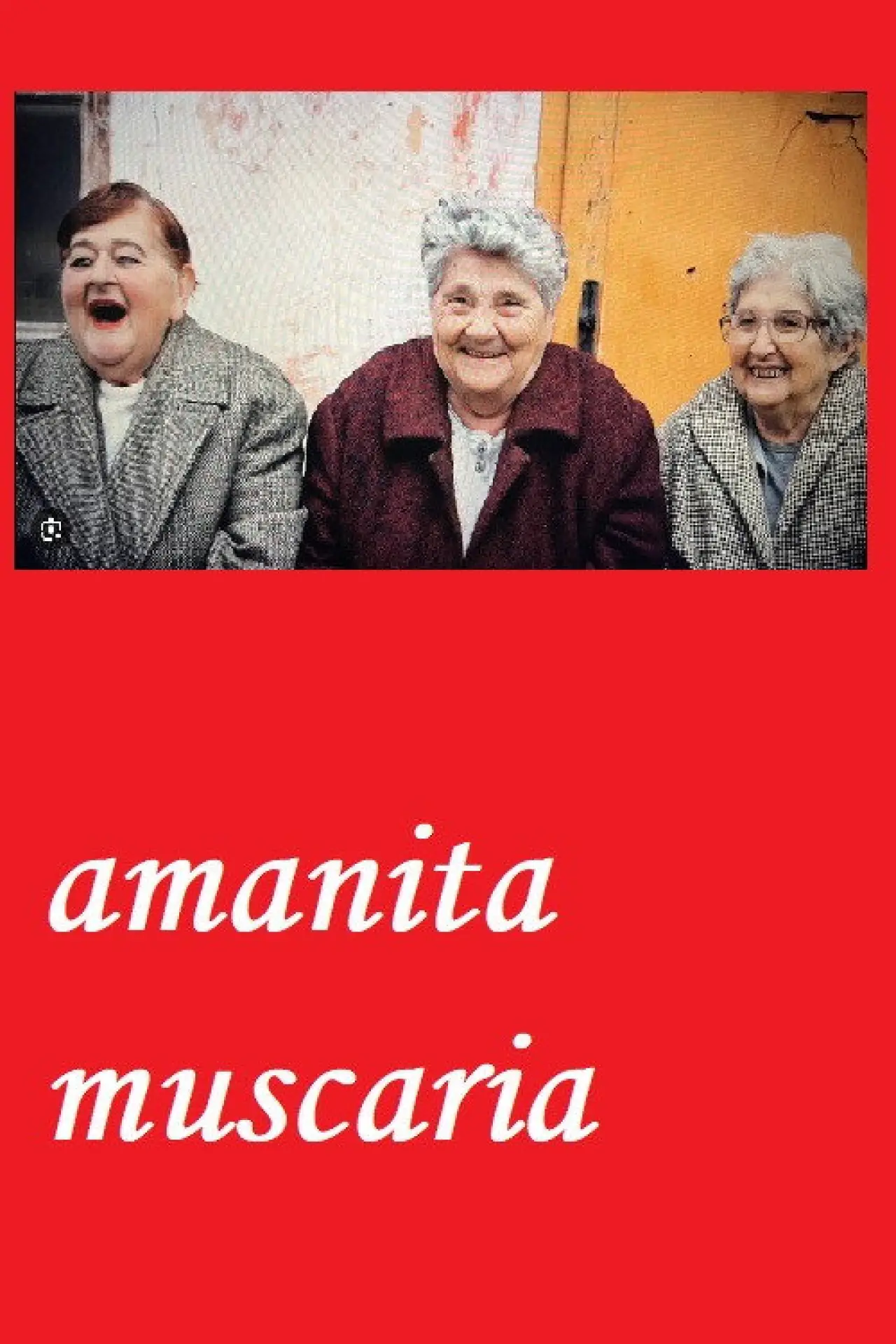 Постер к фильму "Amanita muscaria"