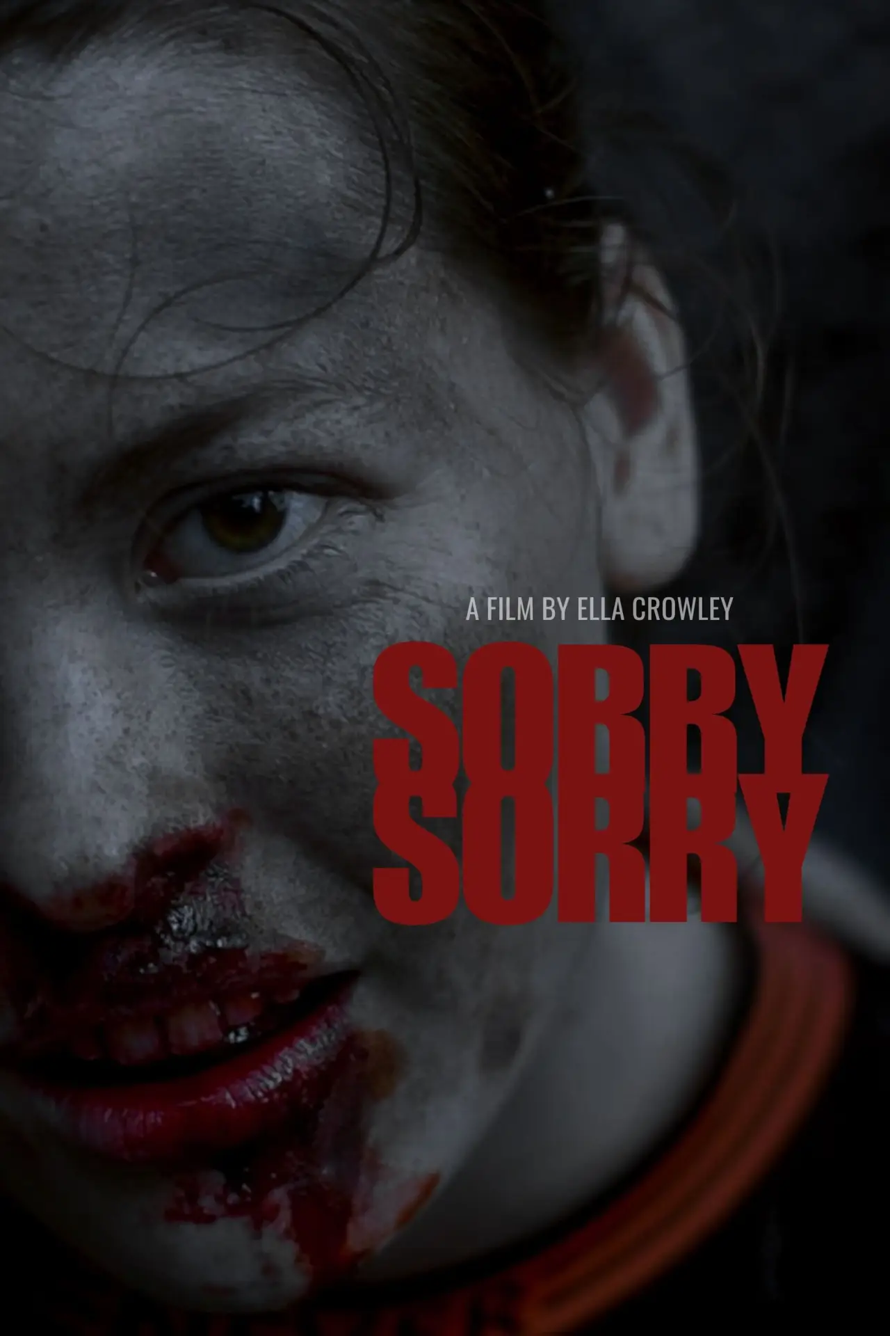 Постер к фильму "Sorry Sorry"