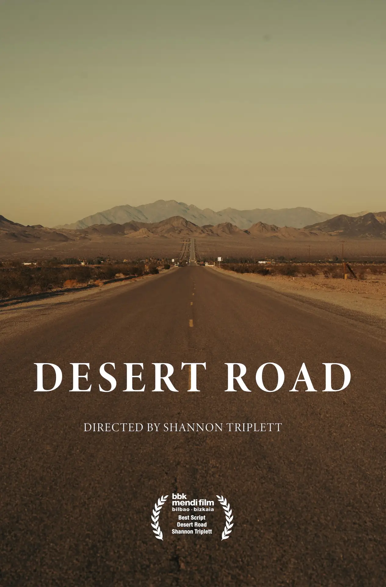 Постер к фильму "Desert Road"