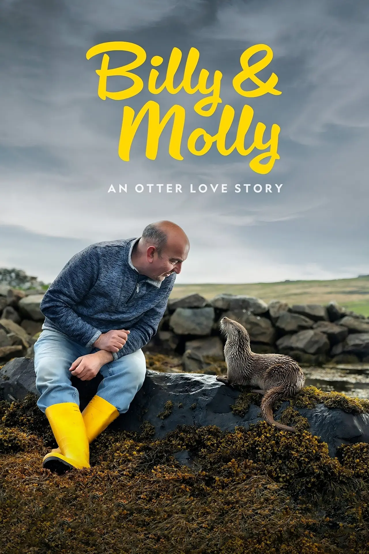 Постер к фильму "Billy & Molly: An Otter Love Story"