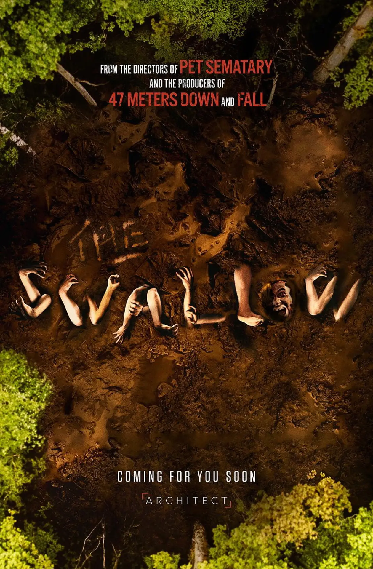 Постер к фильму "The Swallow"