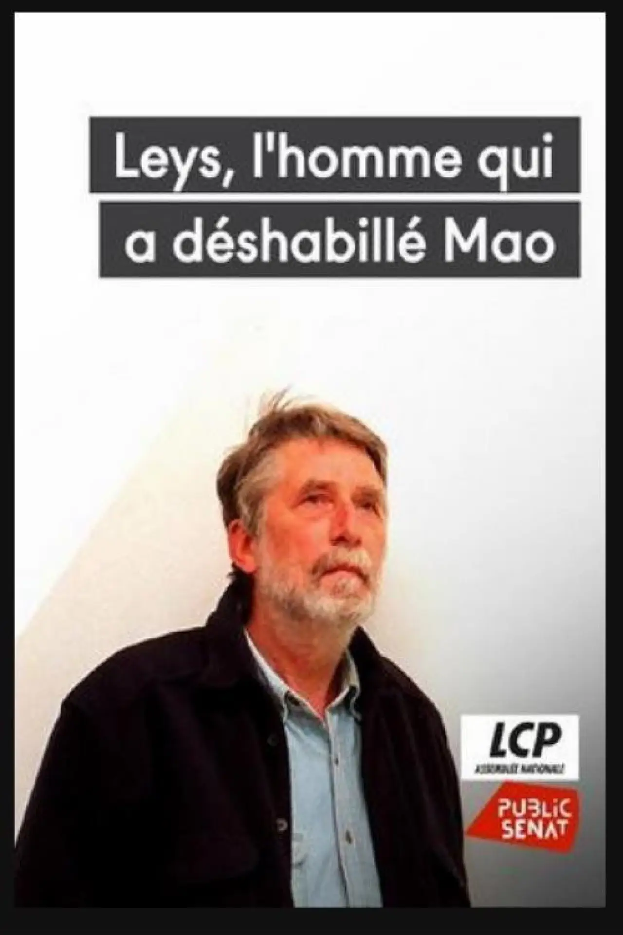 Постер к фильму "Leys, l
