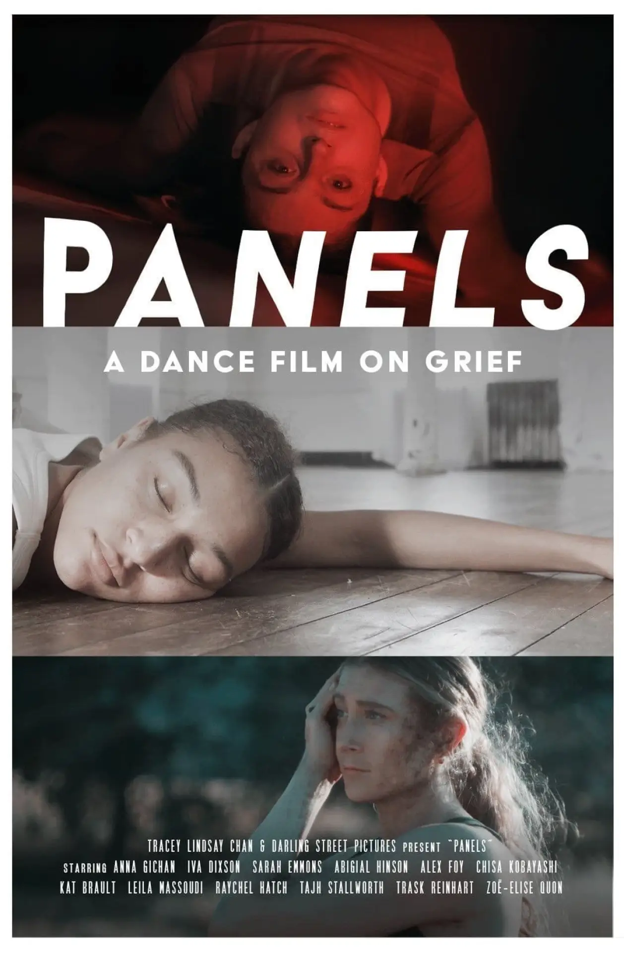 Постер к фильму "Panels"