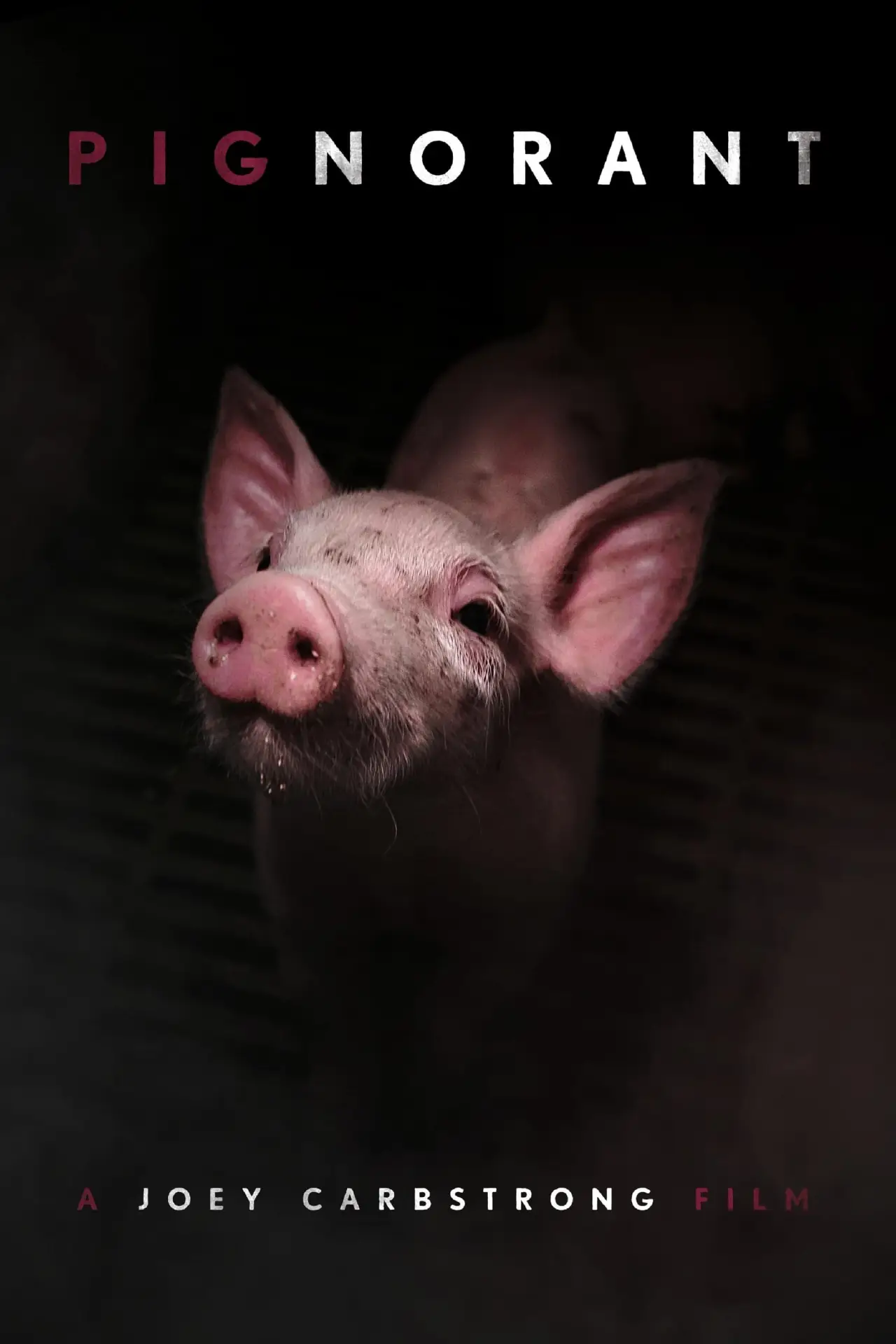 Постер к фильму "Pignorant"