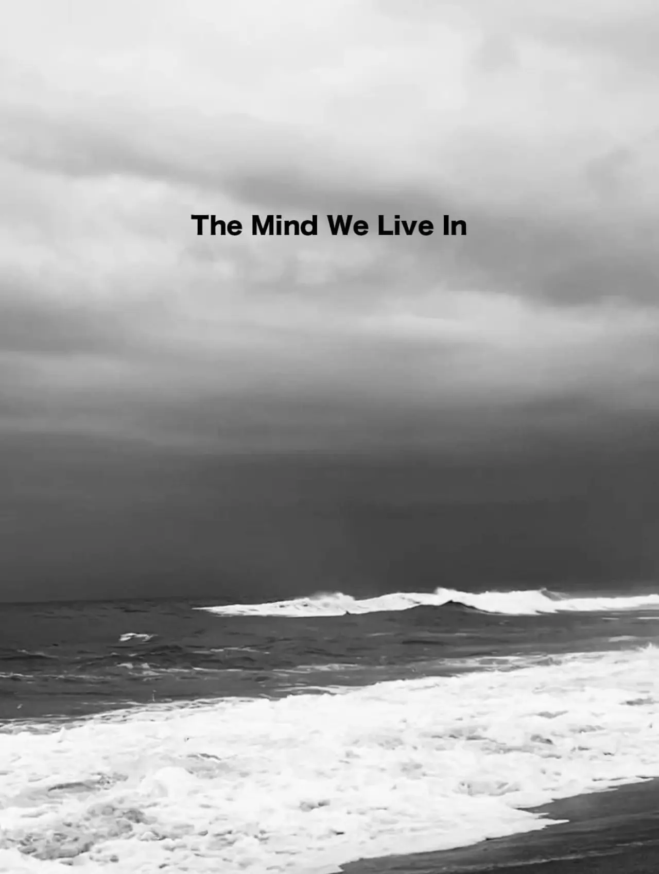 Постер к фильму "The Mind We Live In"