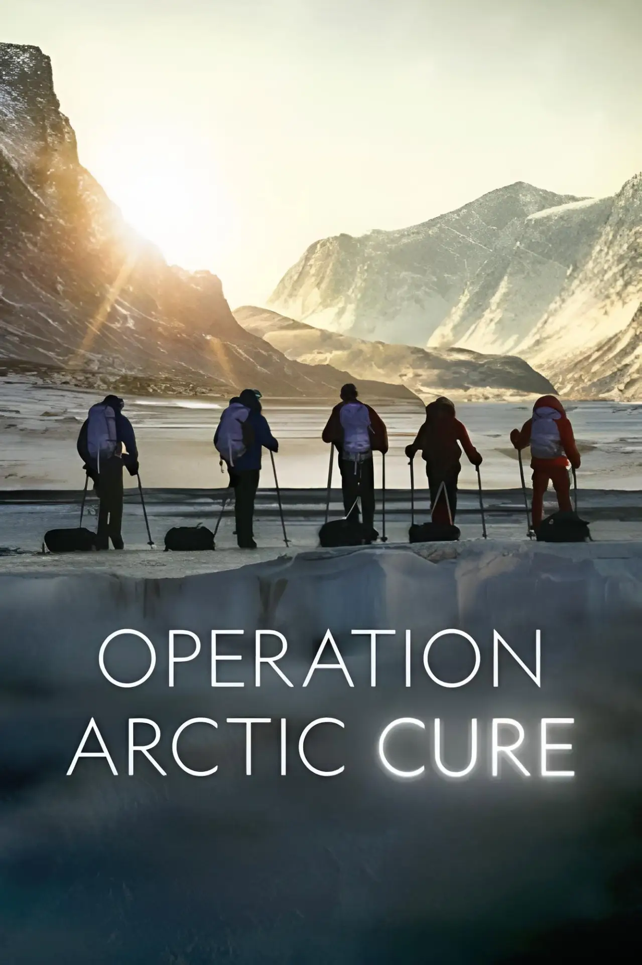 Постер к фильму "Operation Arctic Cure"