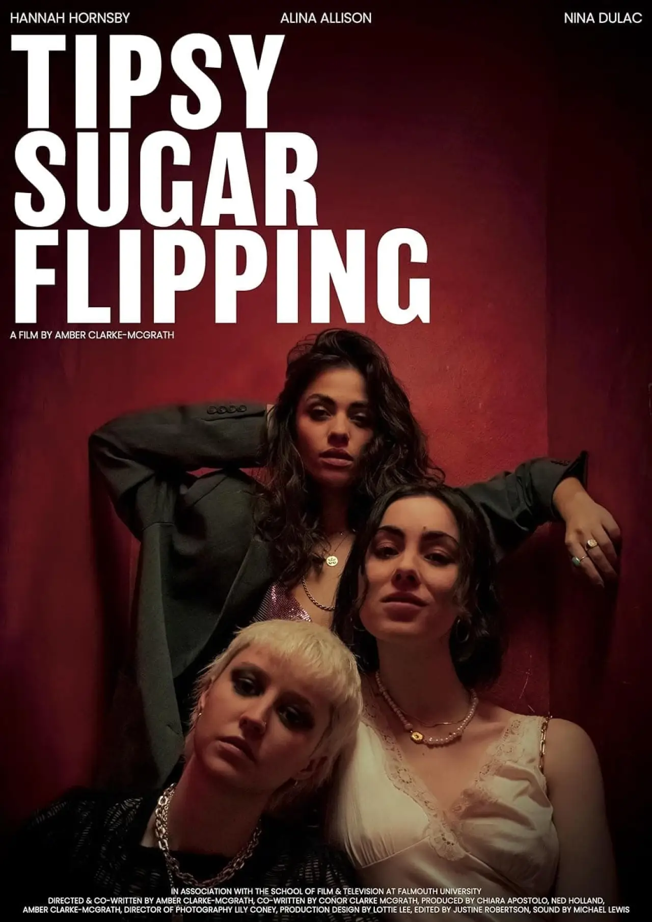Постер к фильму "Tipsy Sugar Flipping"