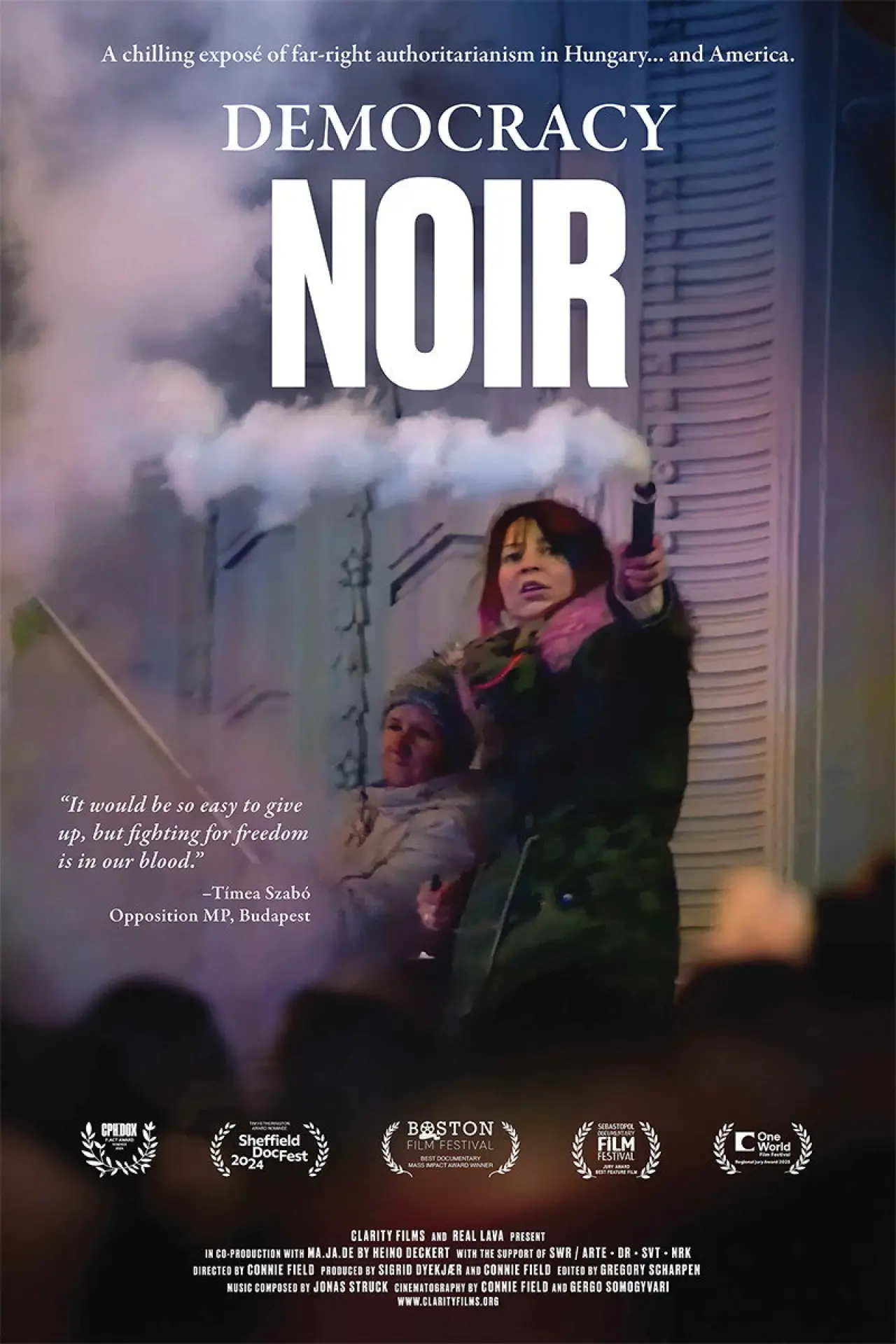 Постер к фильму "Democracy Noir"
