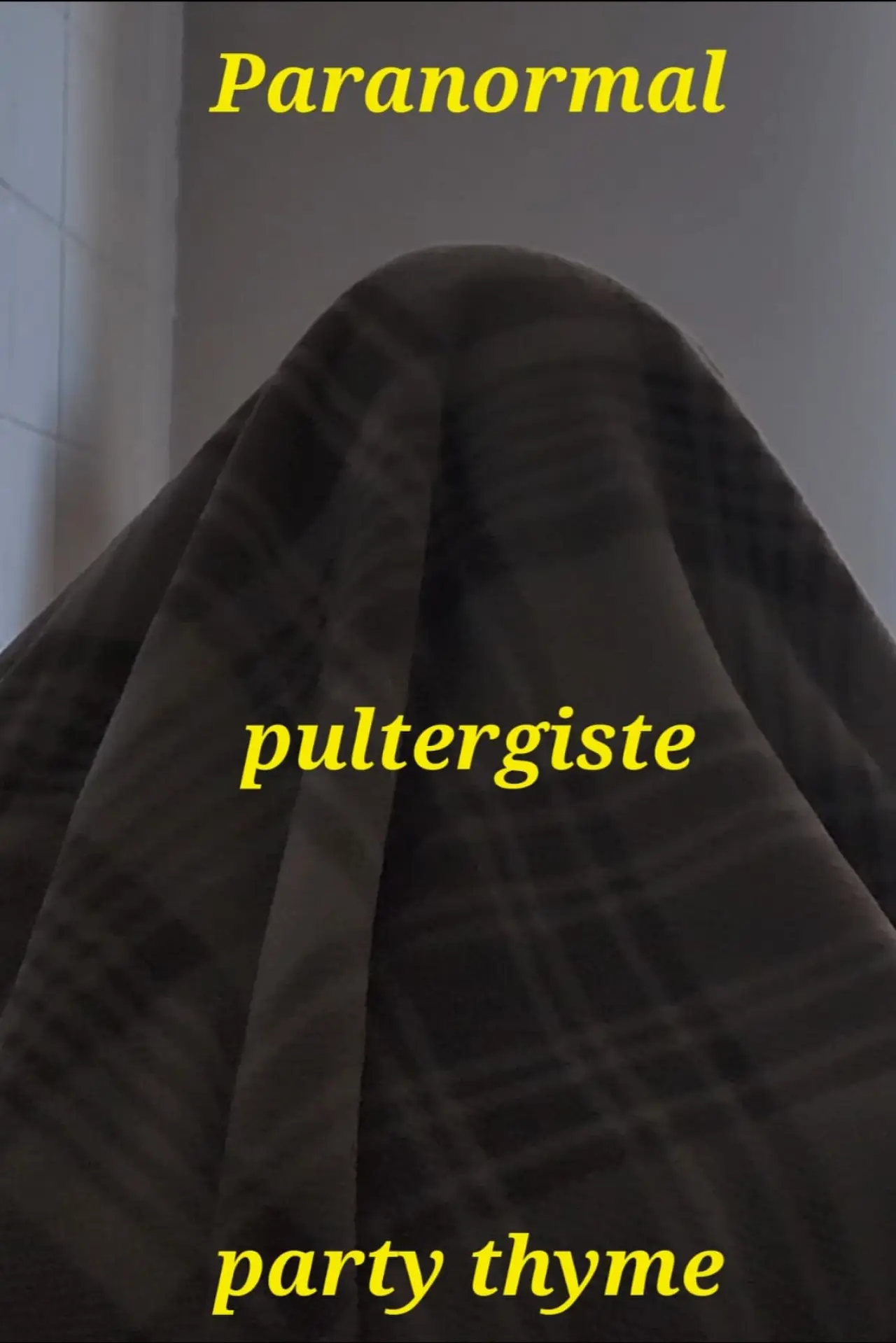 Постер к фильму "Paranormal Poltergeist Party Time"