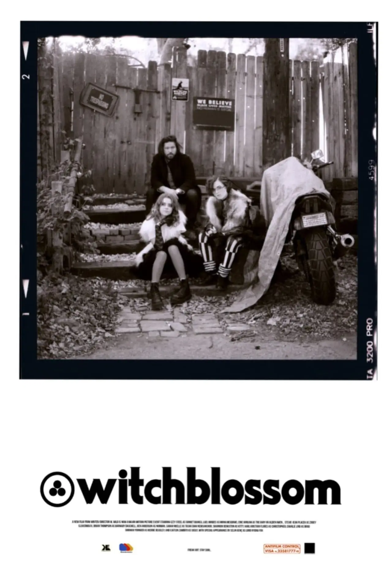 Постер к фильму "Witchblossom"