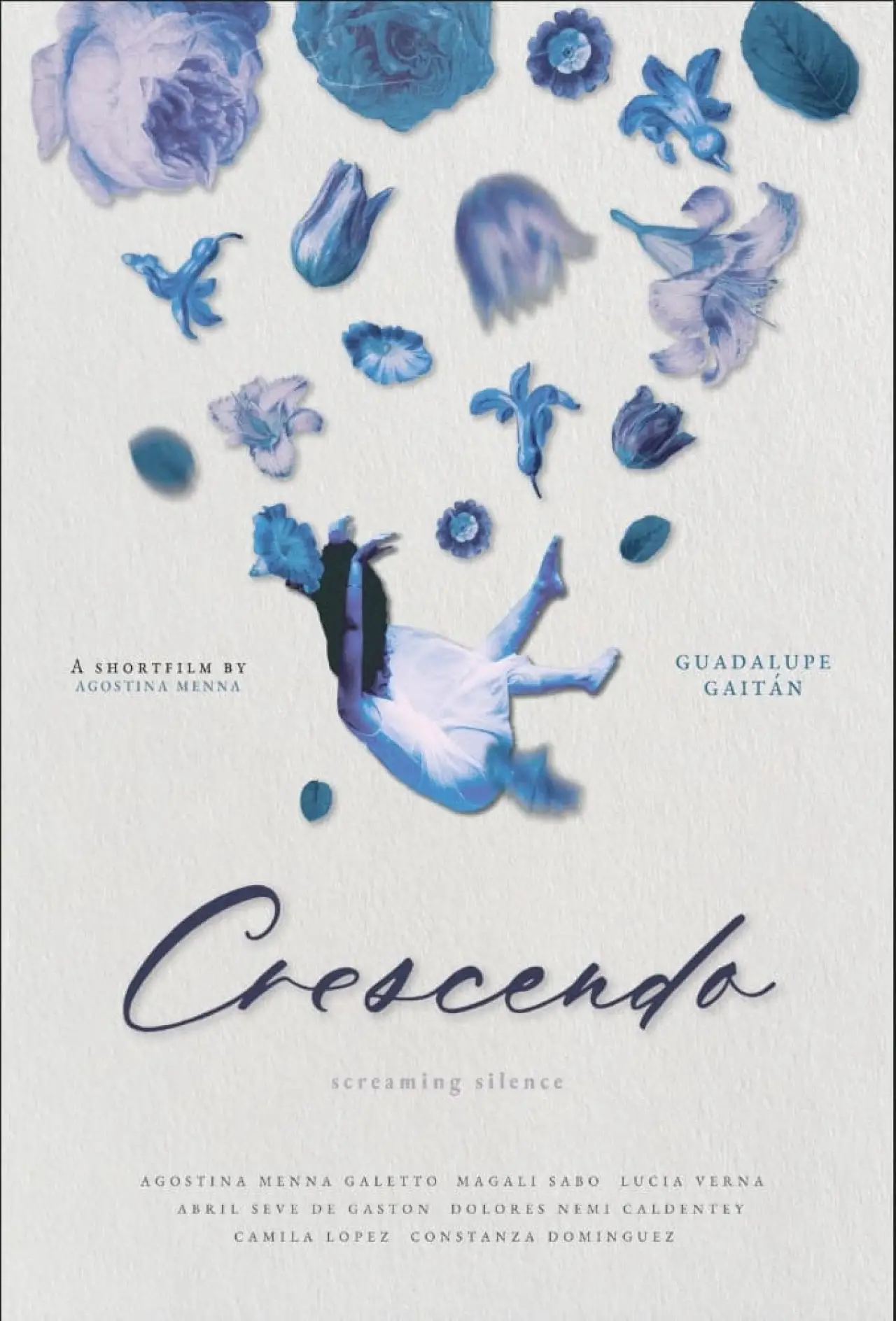 Постер к фильму "Crescendo"