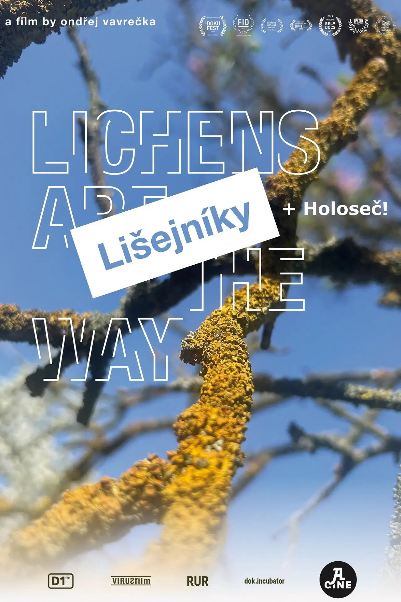Постер к фильму "Lichens Are the Way"