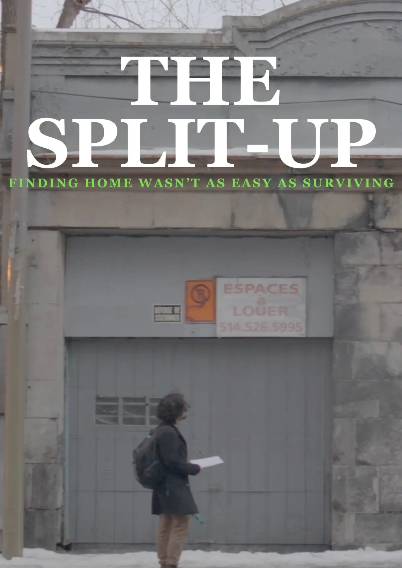 Постер к фильму "The Split-Up"