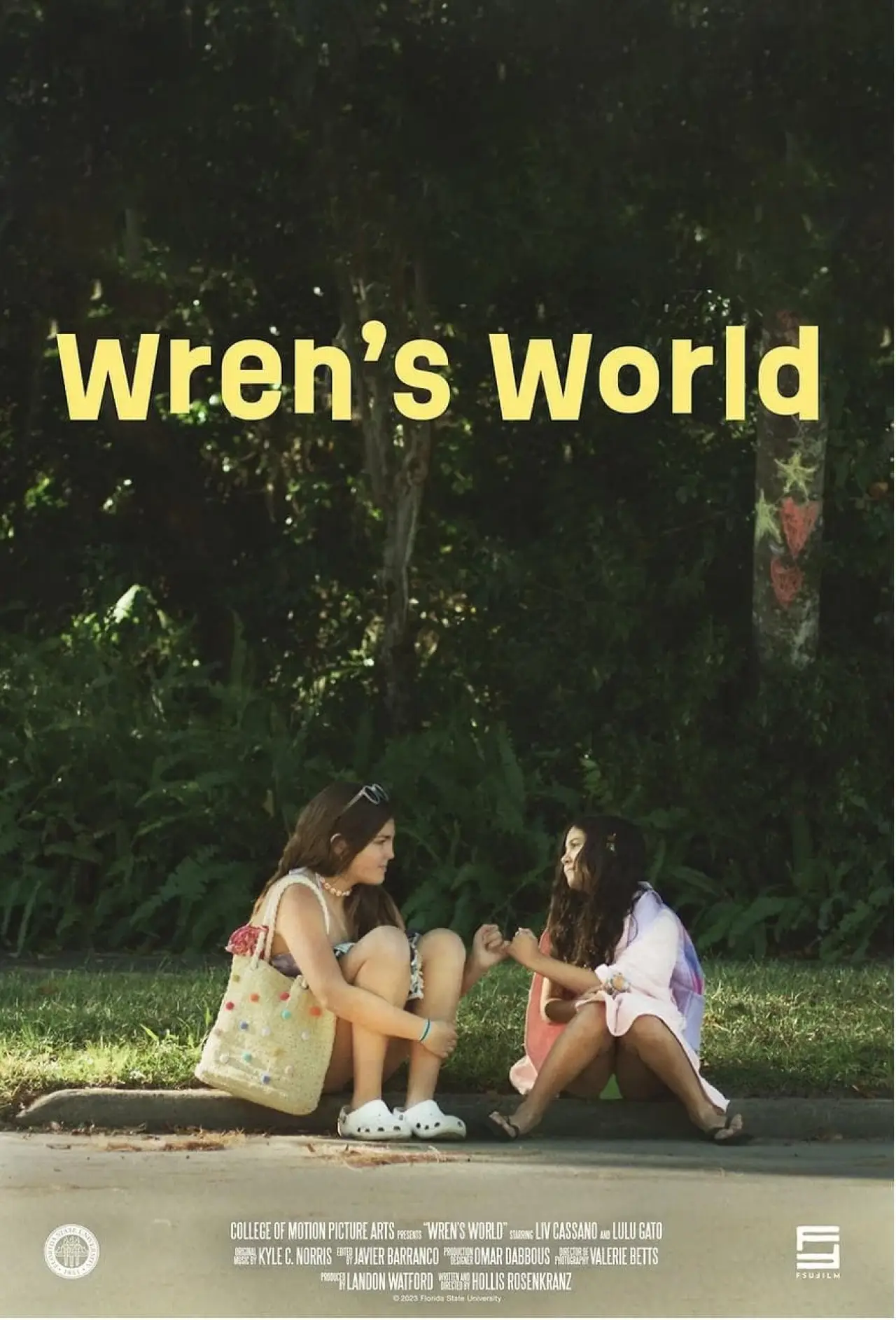 Постер к фильму "Wren