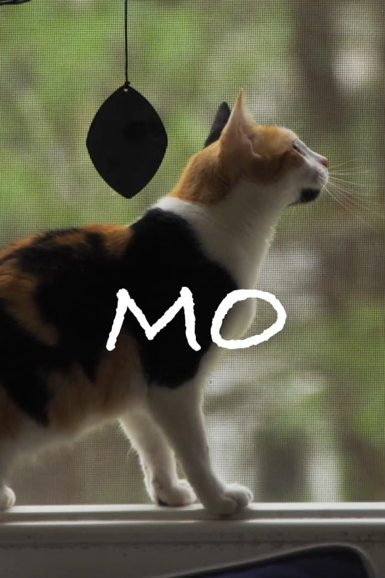 Постер к фильму "Mo"