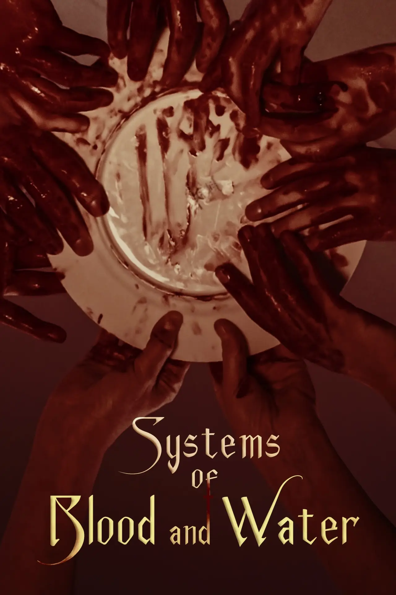 Постер к фильму "Systems of Blood and Water"