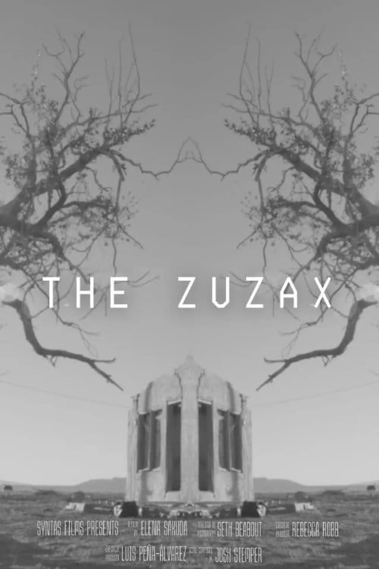 Постер к фильму "The Zuzax"