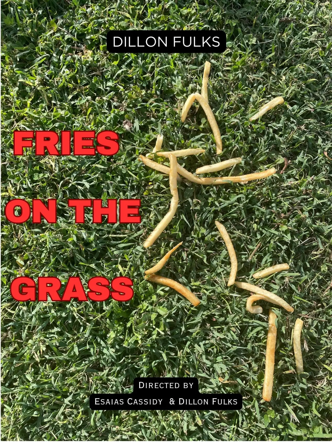 Постер к фильму "Fries on the Grass"