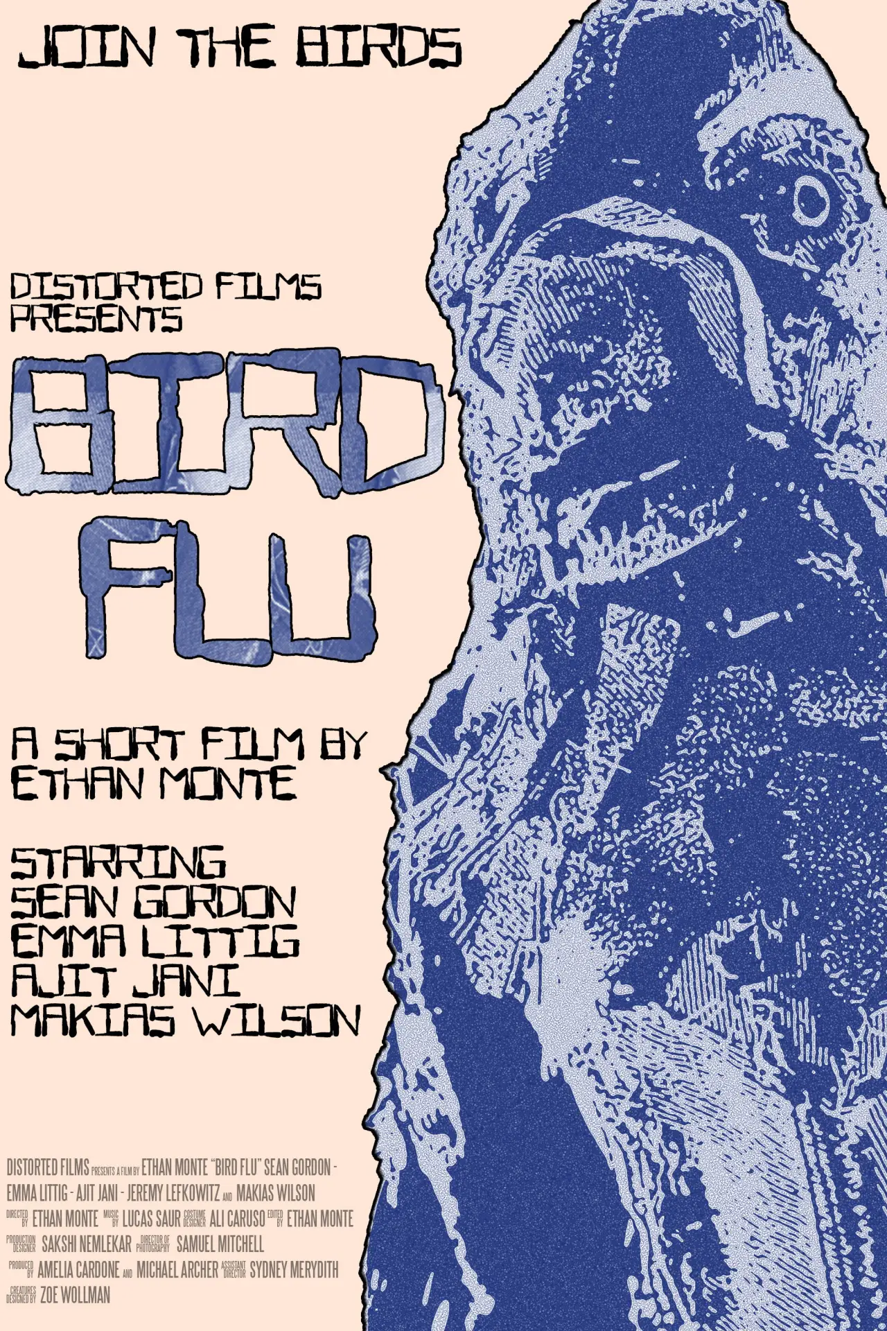 Постер к фильму "Bird Flu"