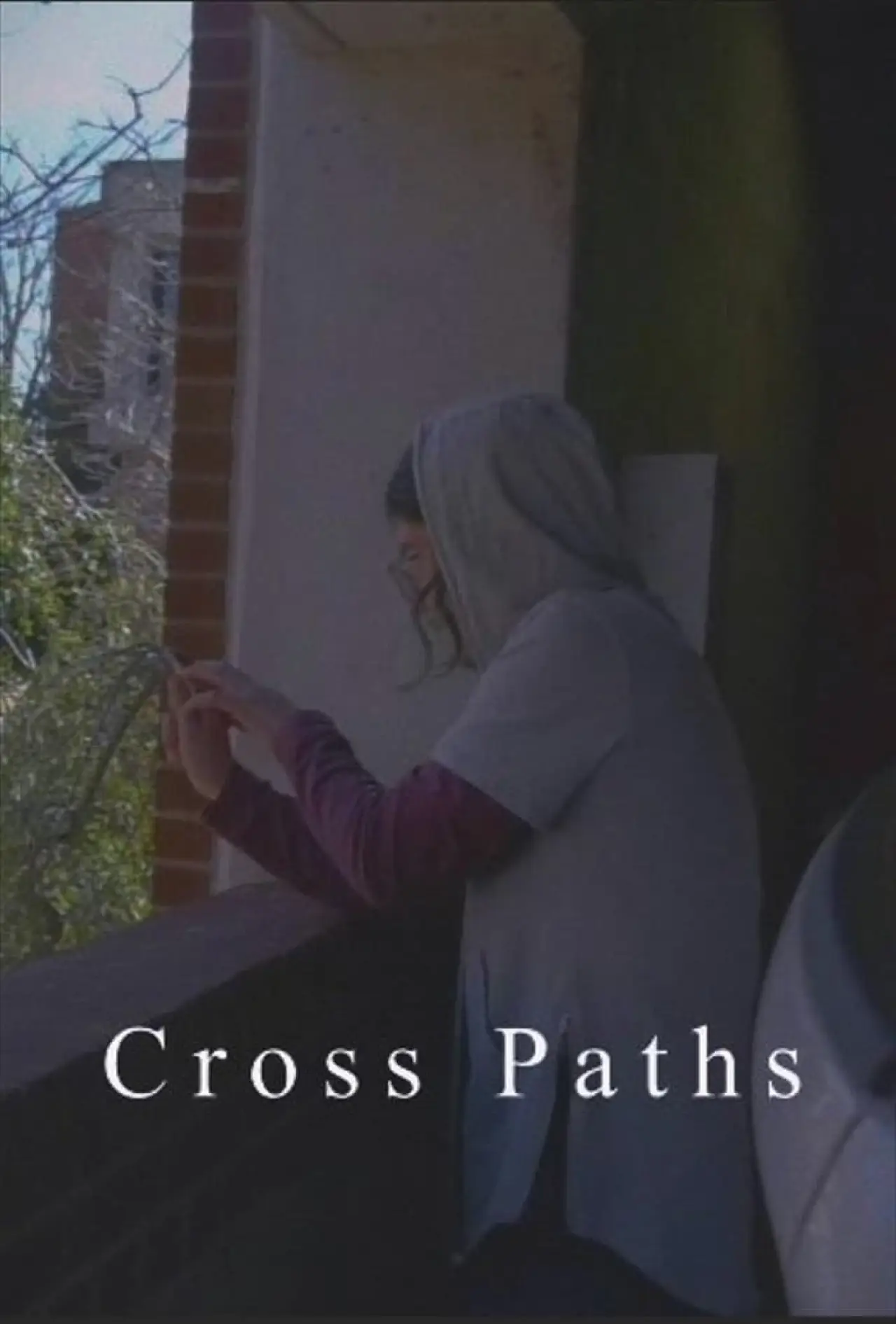 Постер к фильму "Cross Paths"