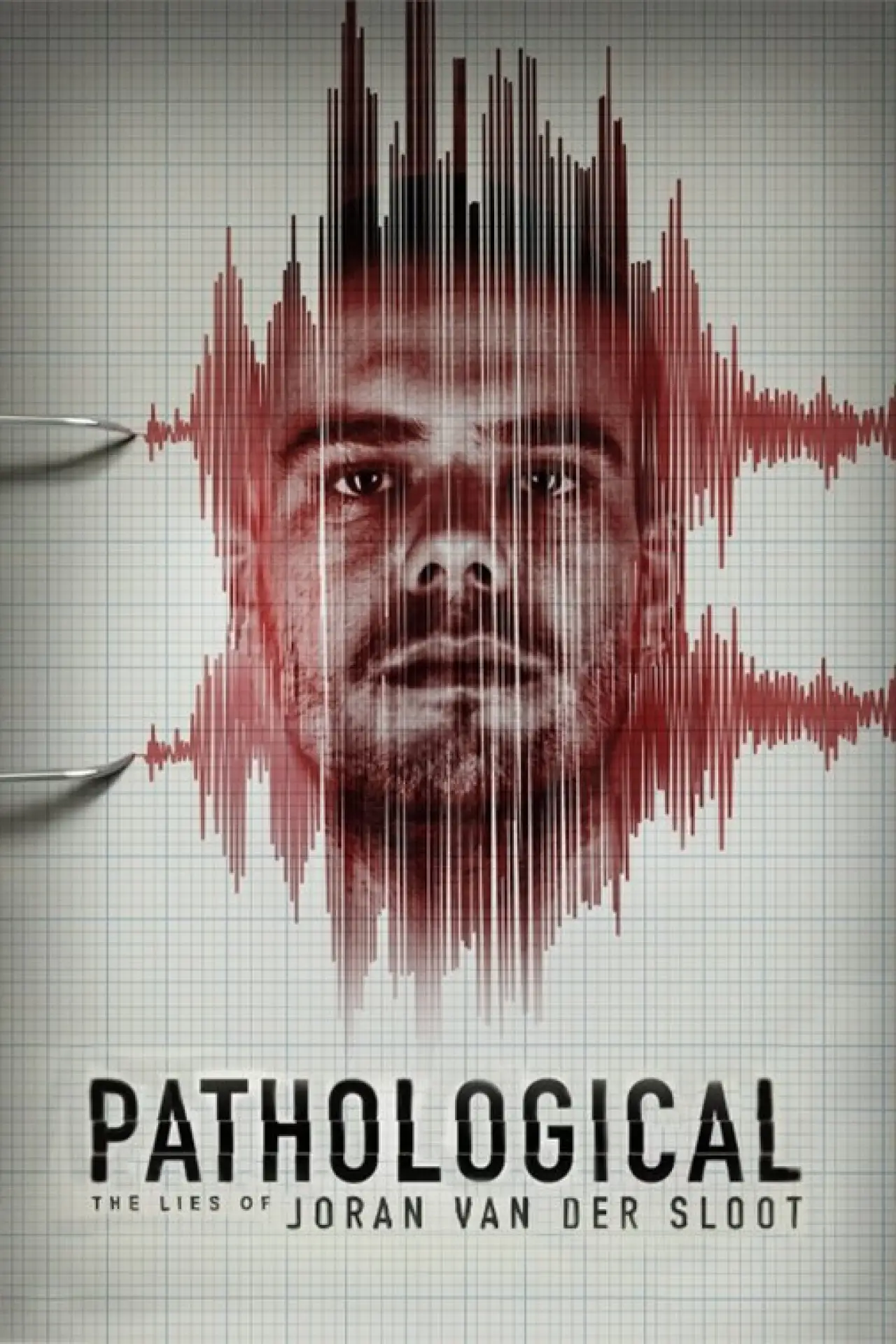 Постер к фильму "Pathological: The Lies of Joran van der Sloot"
