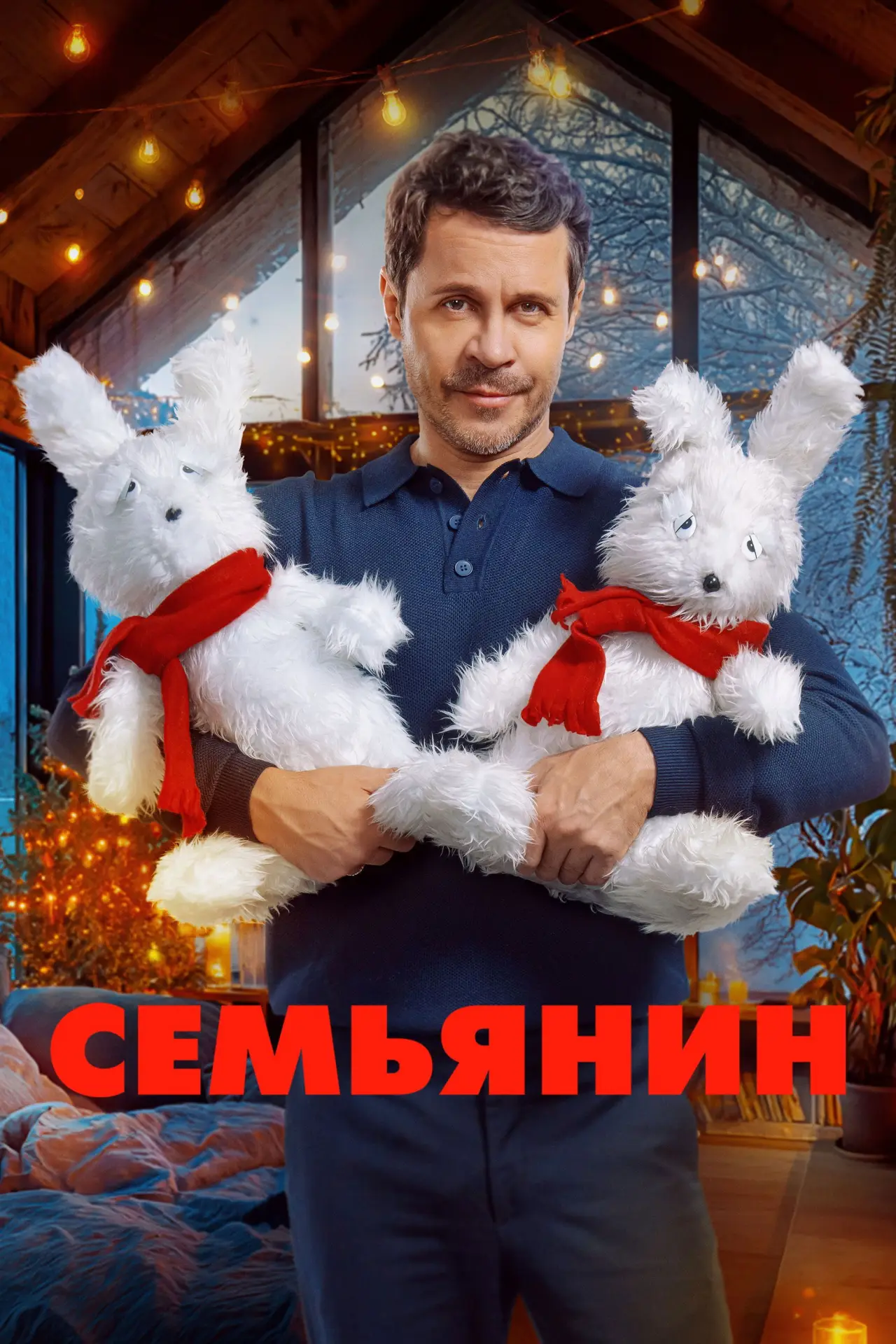 Постер к фильму "Семьянин"